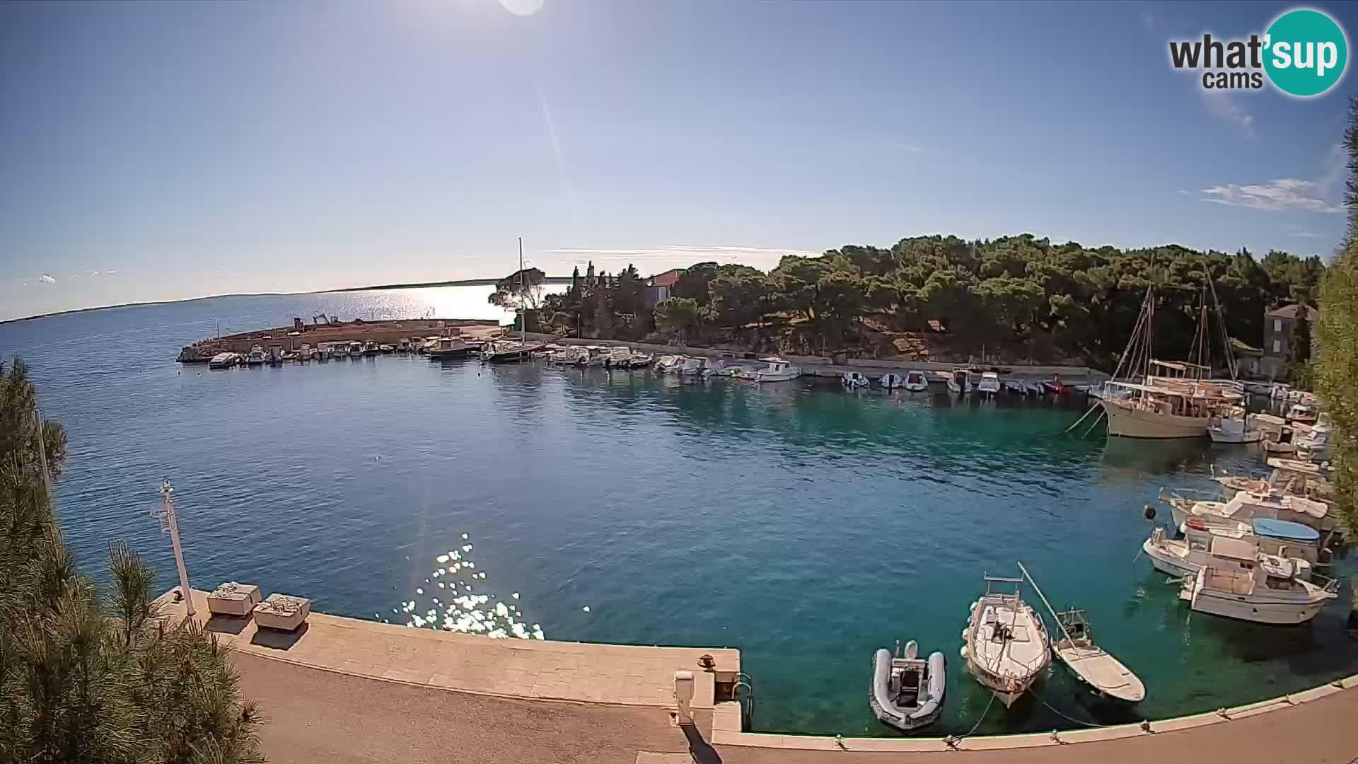 Mandre – marina