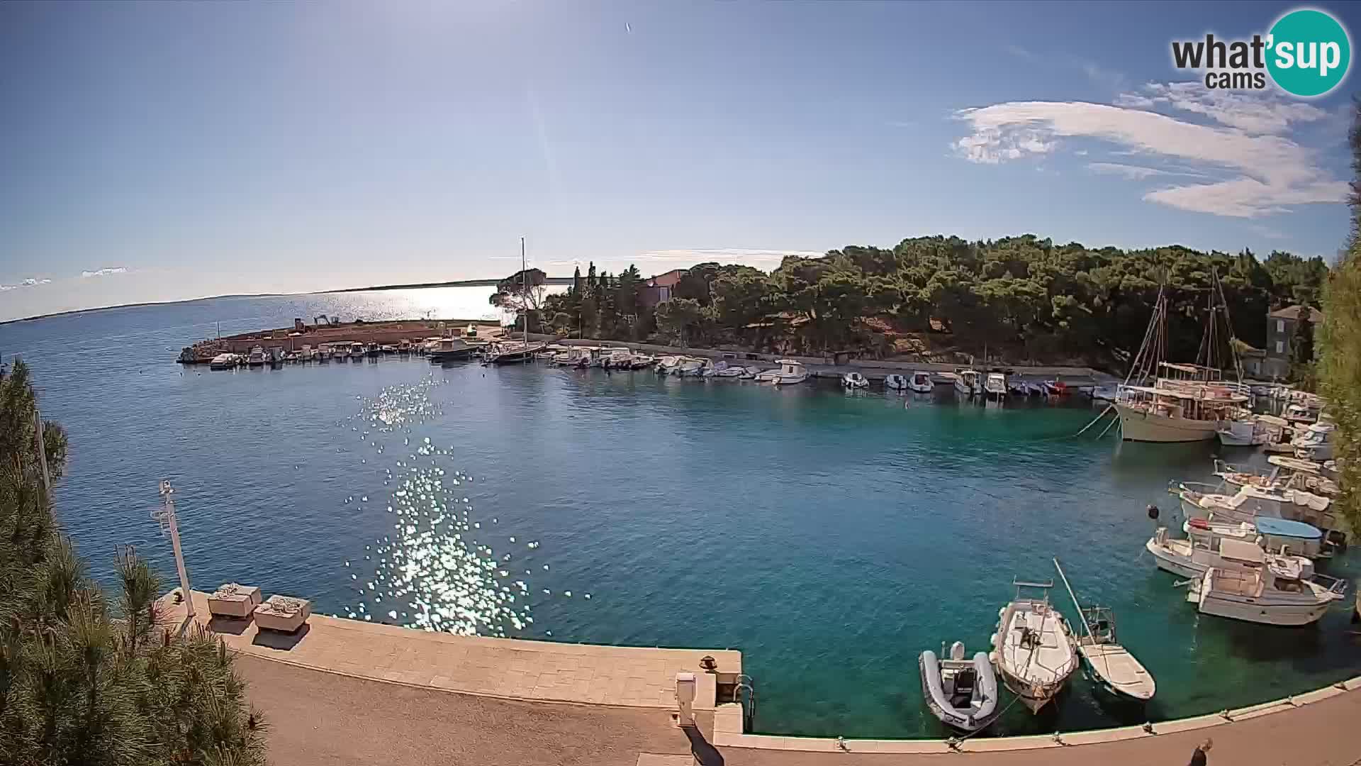 Mandre – marina