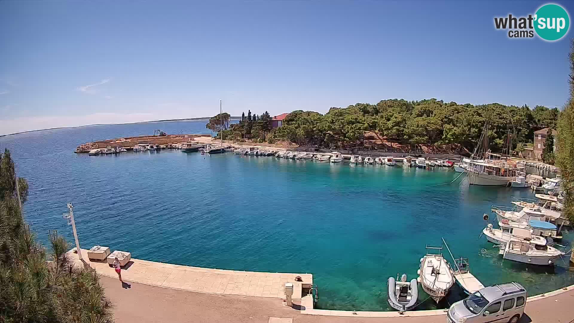 Mandre – marina