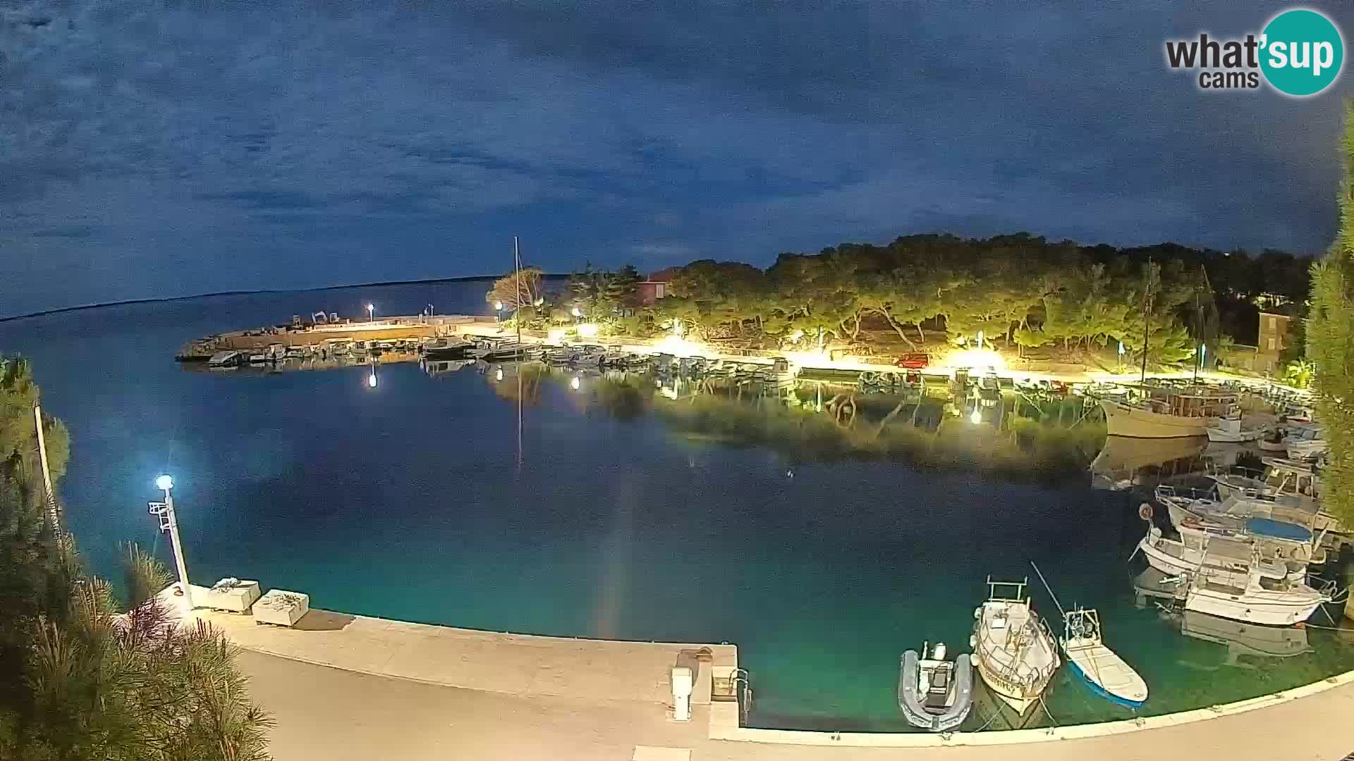 Mandre – marina