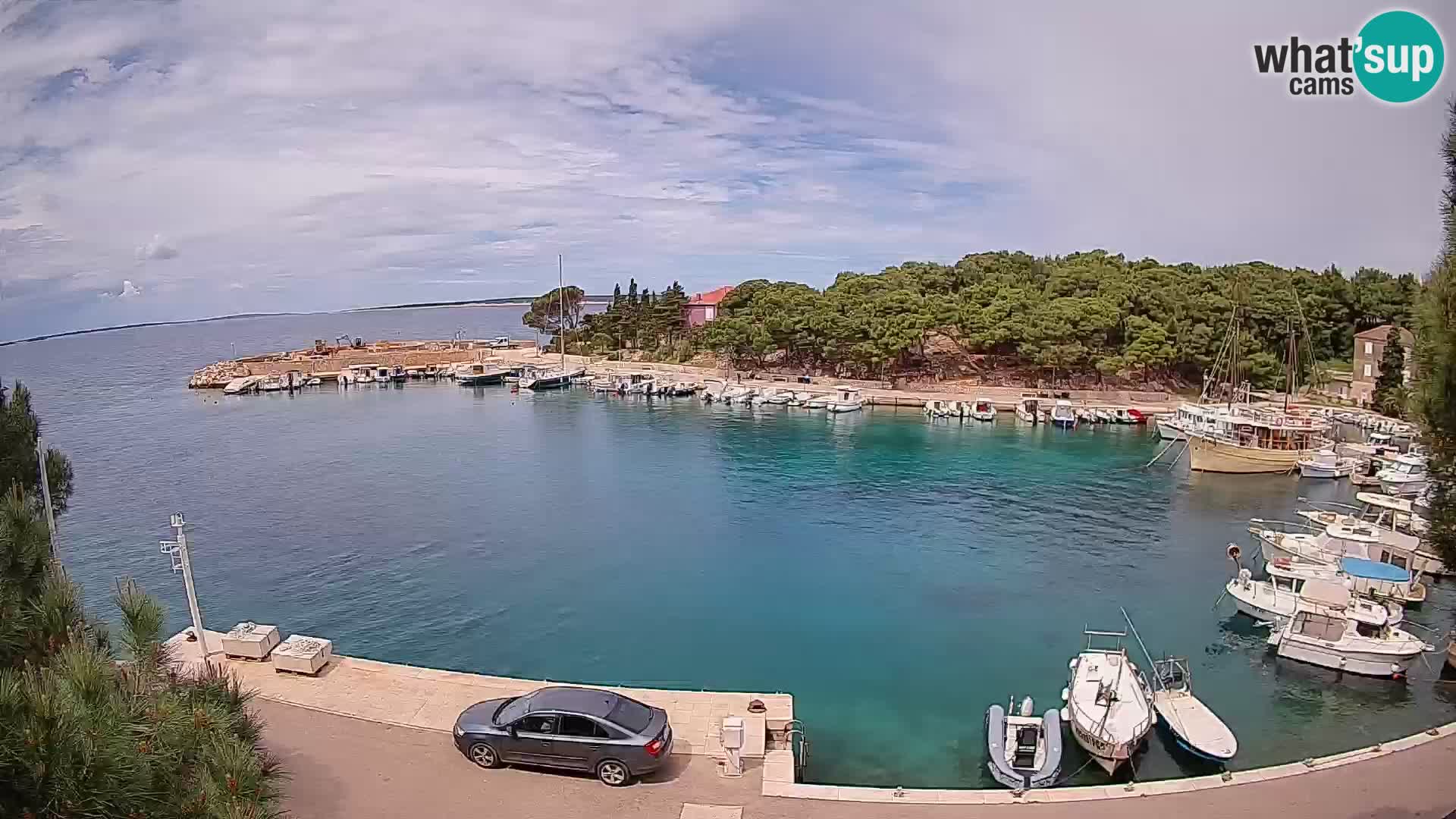 Mandre – marina