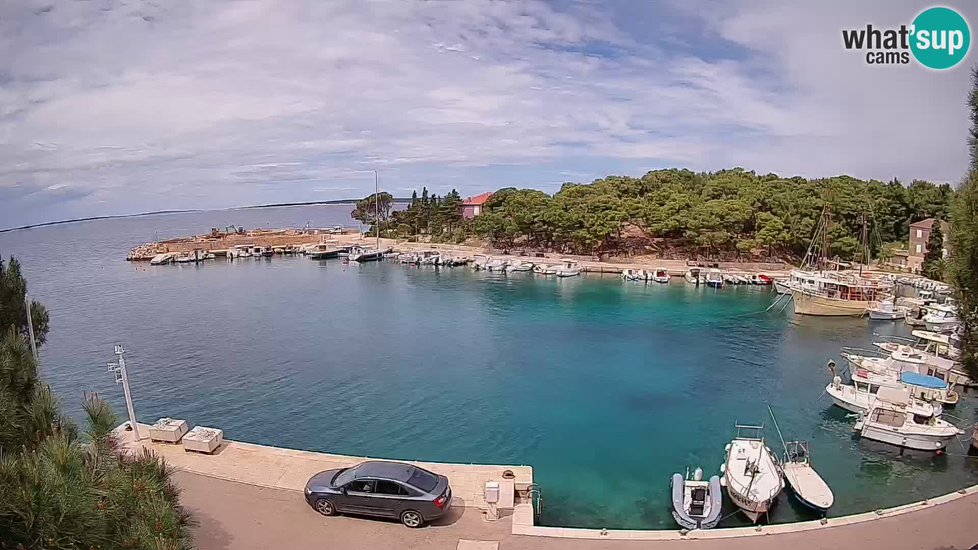 Mandre – marina