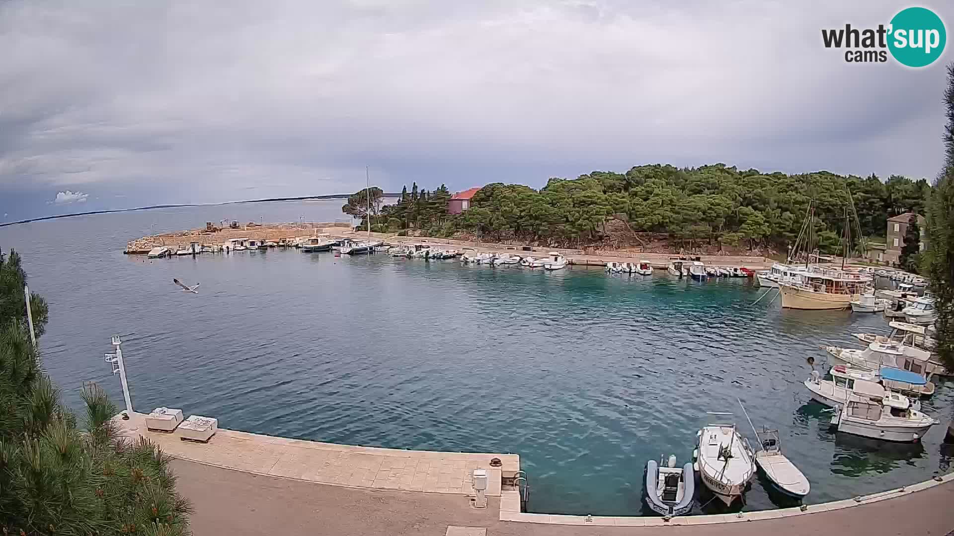 Mandre – marina