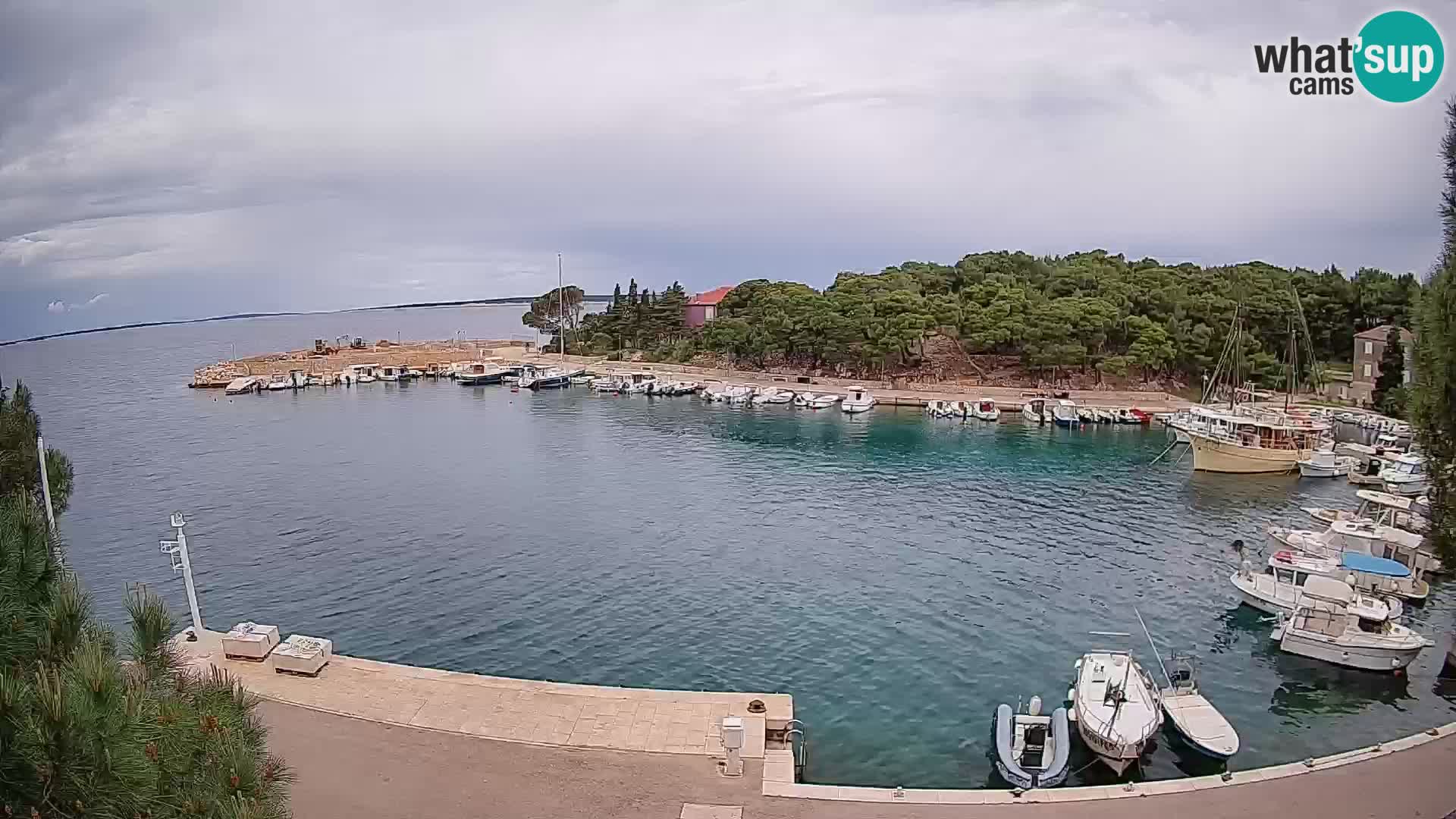 Mandre – marina