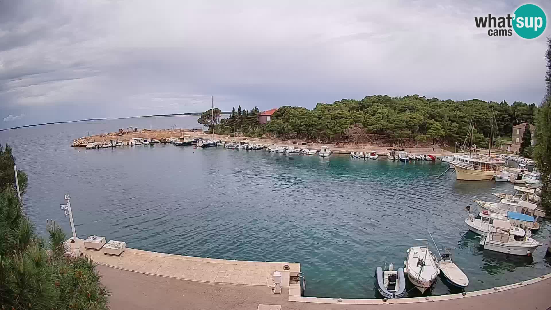 Mandre – marina