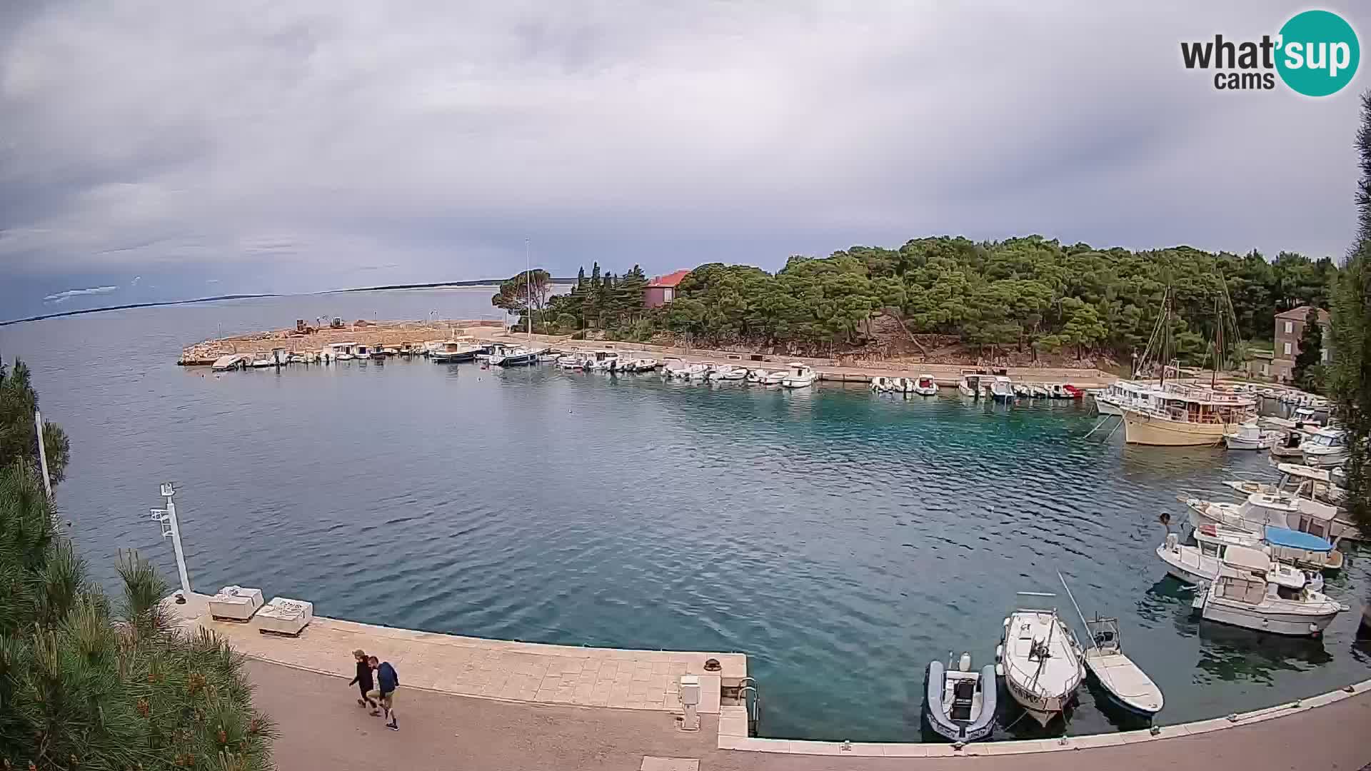 Mandre – marina