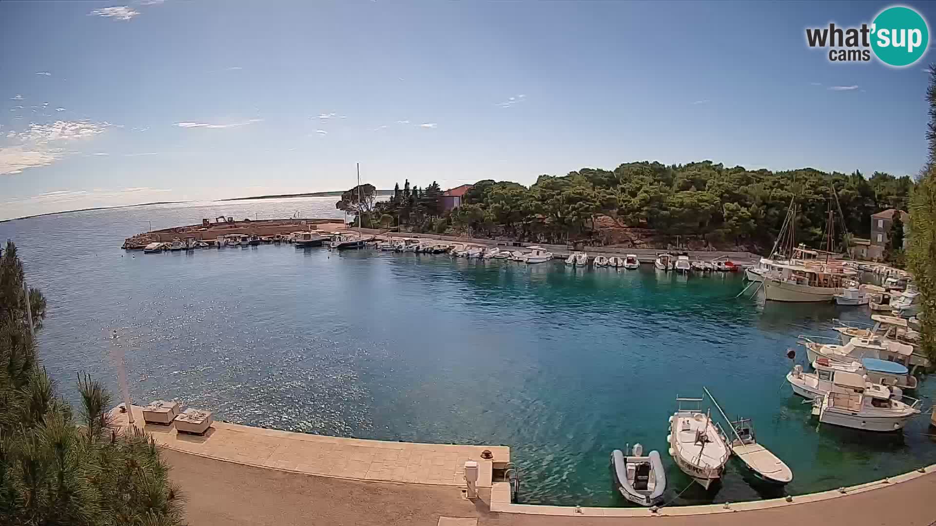 Mandre – marina