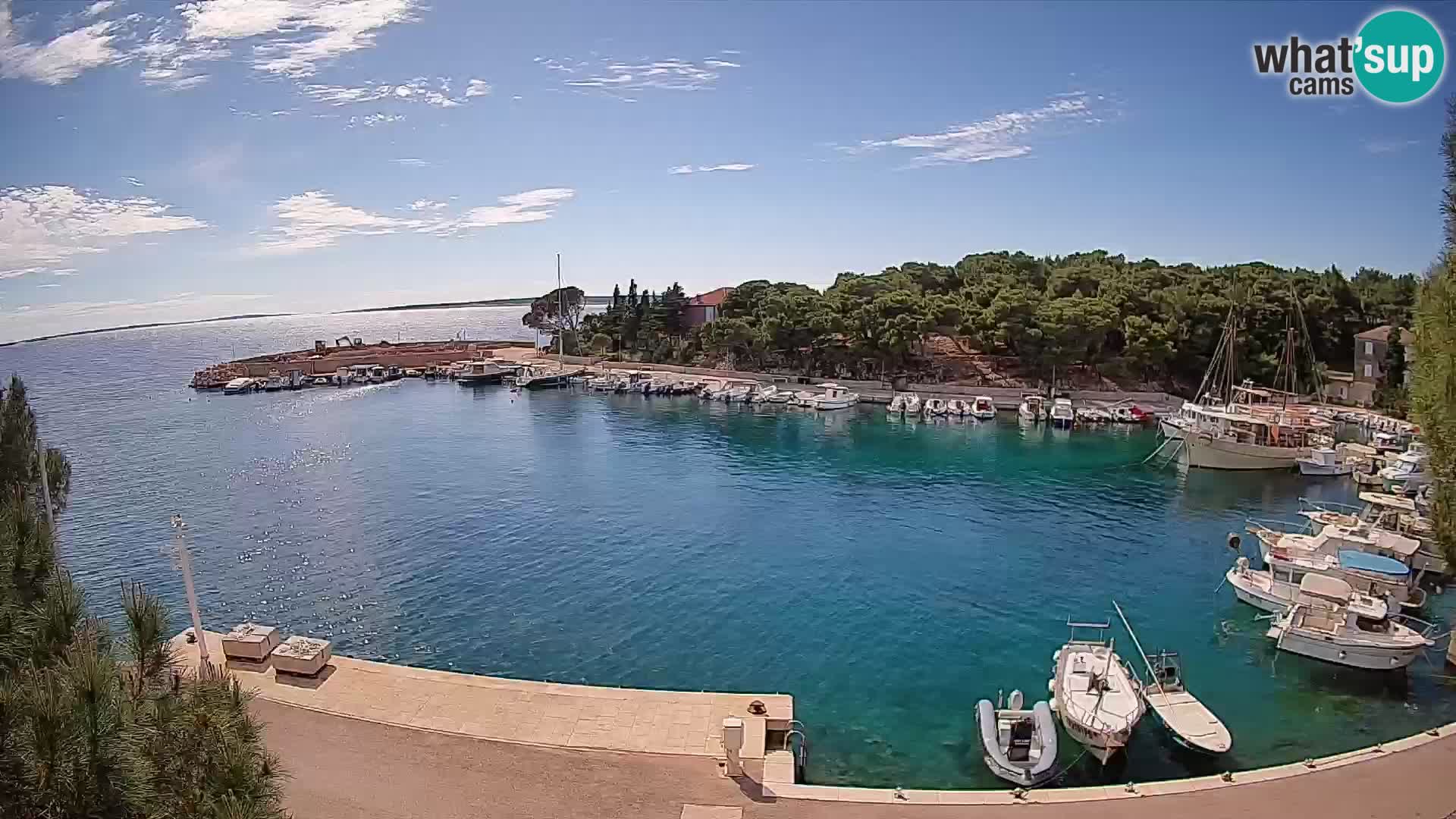 Mandre – marina