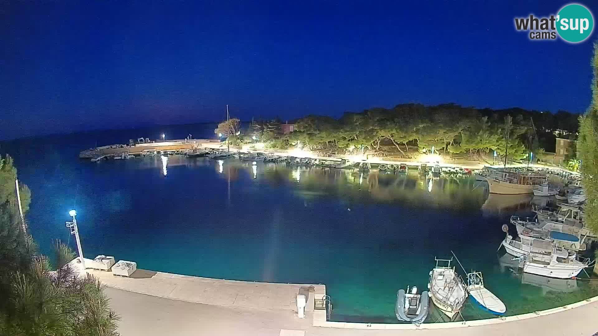 Mandre – marina