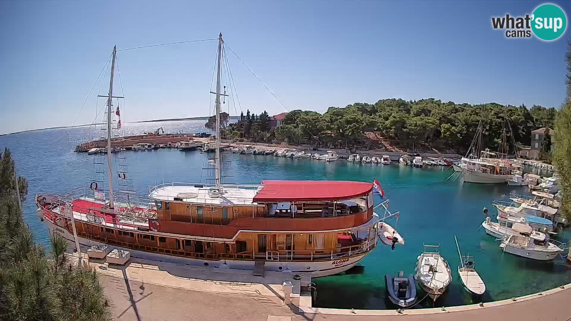 Mandre – marina