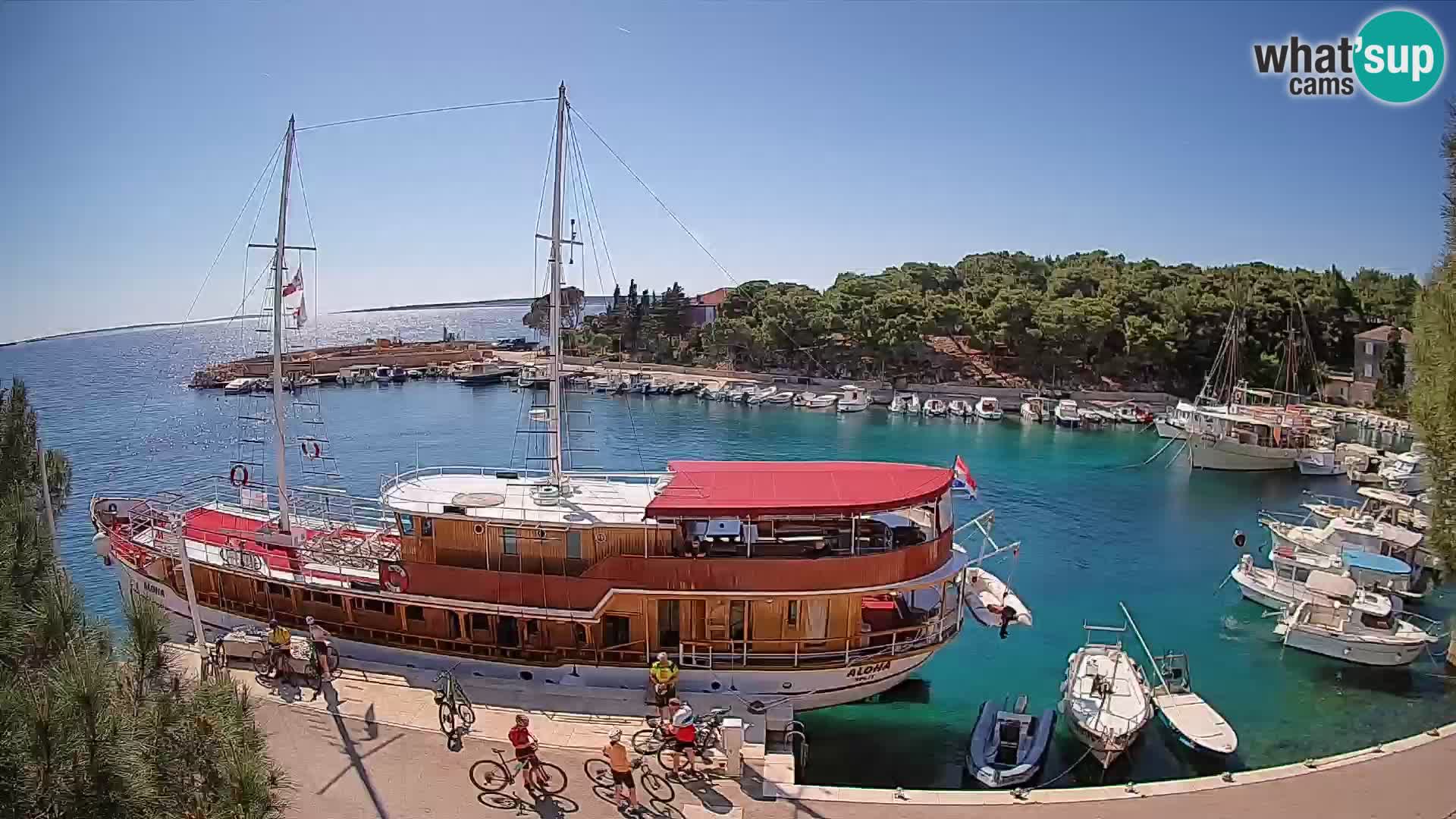 Mandre – marina