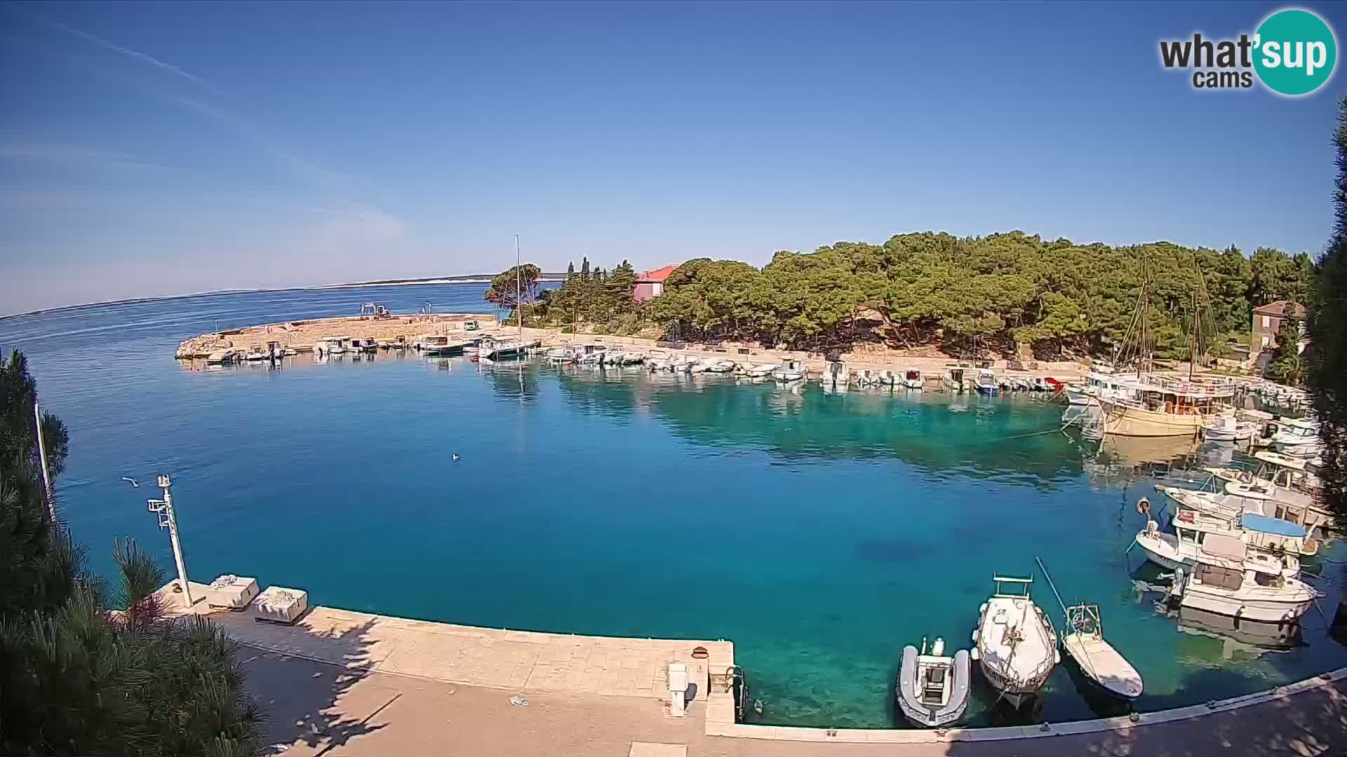 Mandre – marina