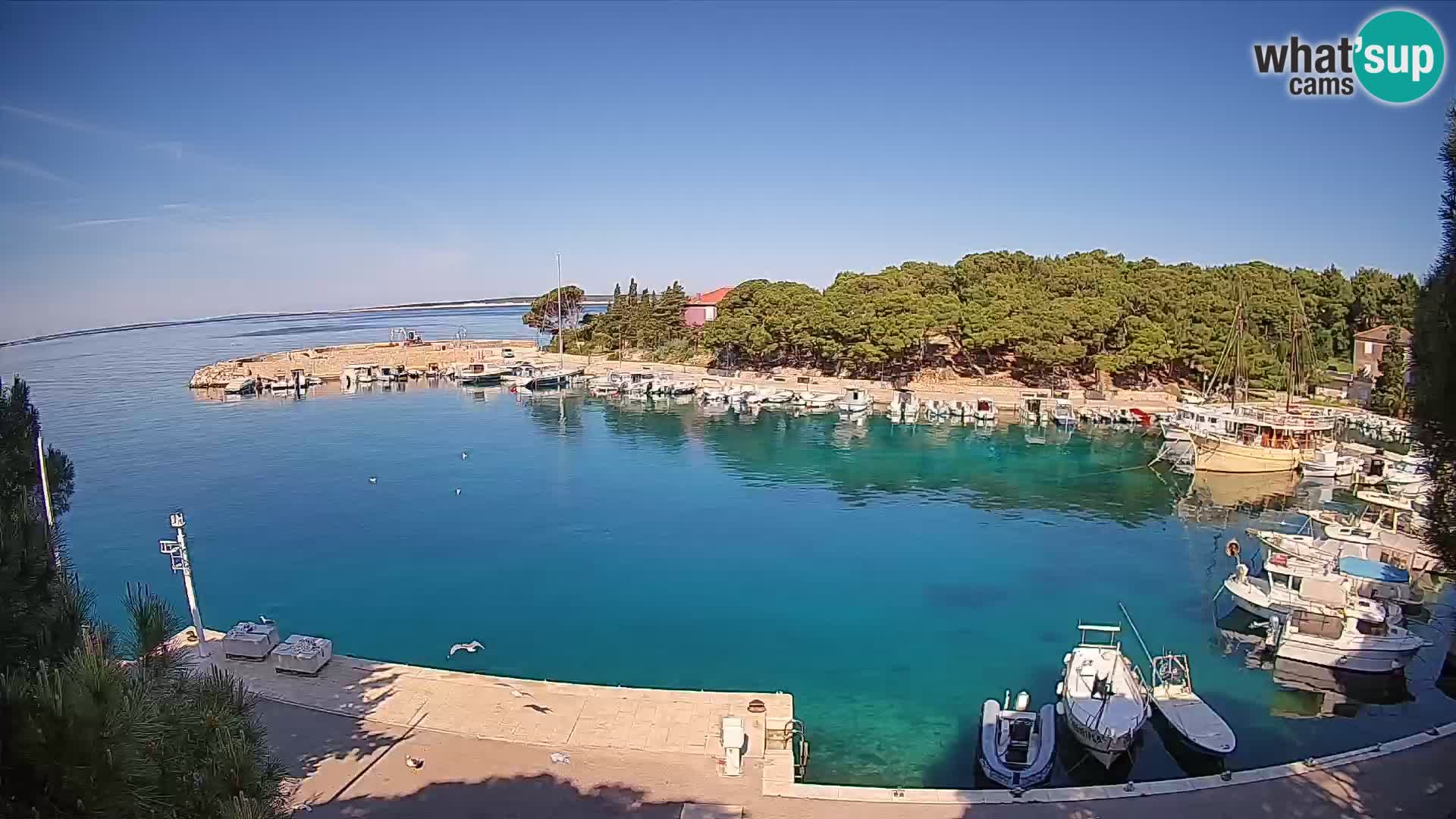 Mandre – marina