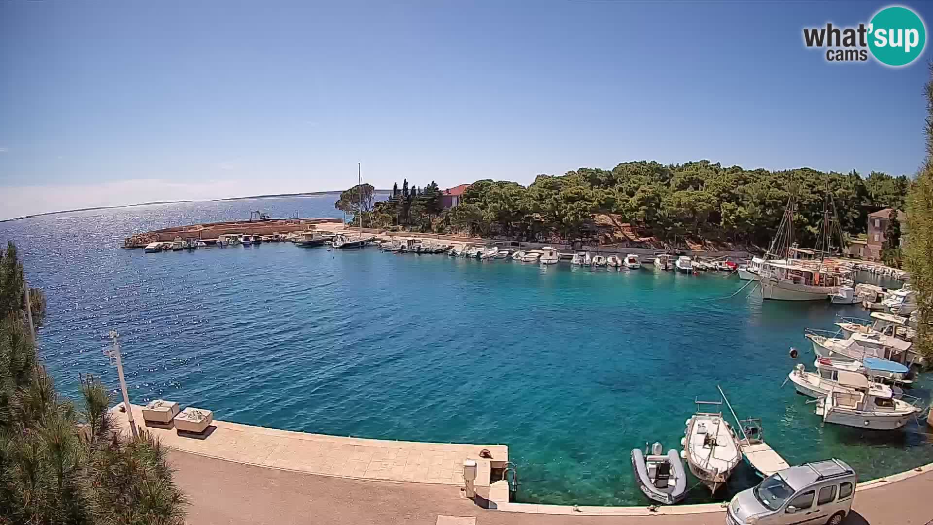 Mandre – marina