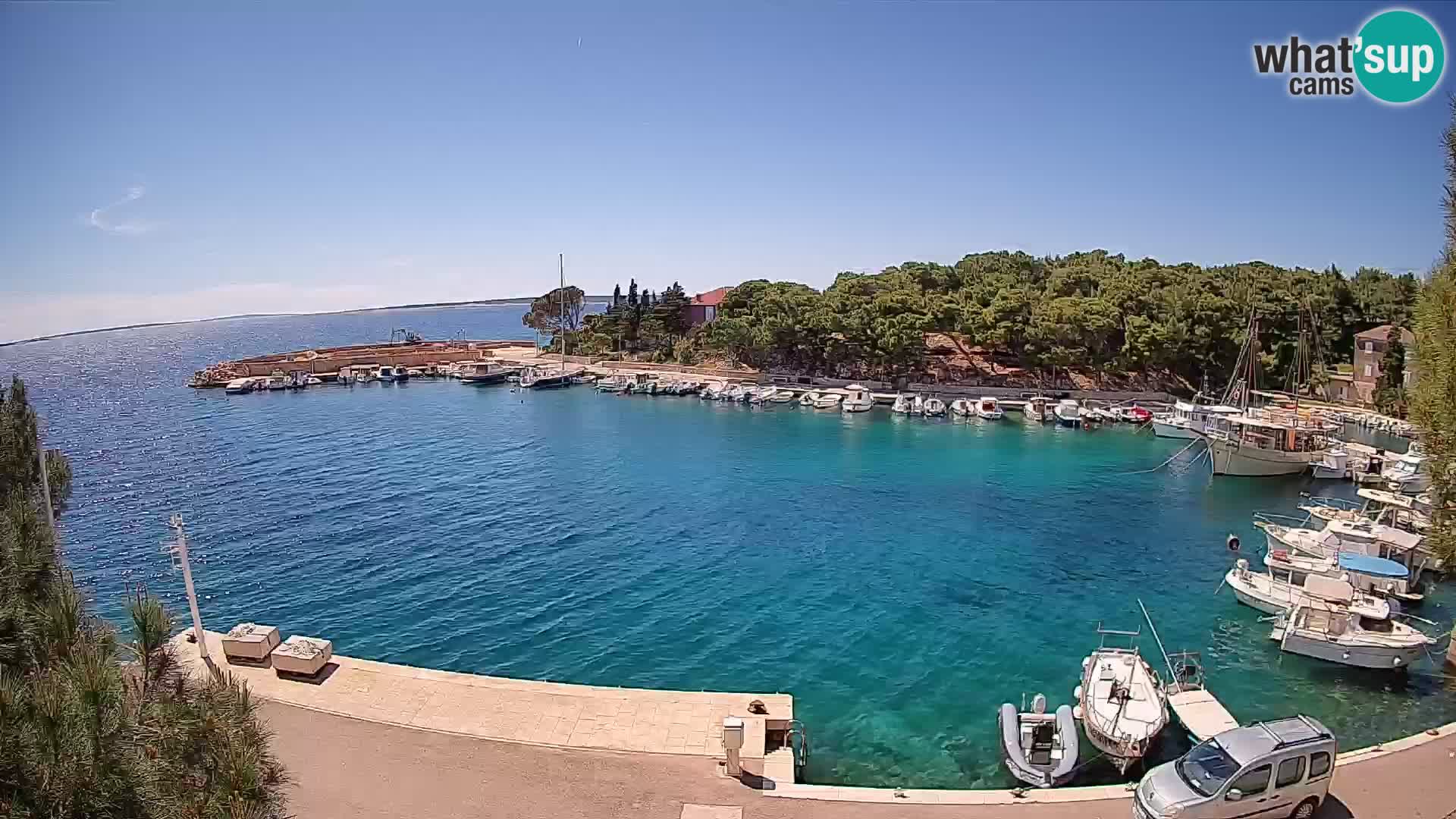 Mandre – marina