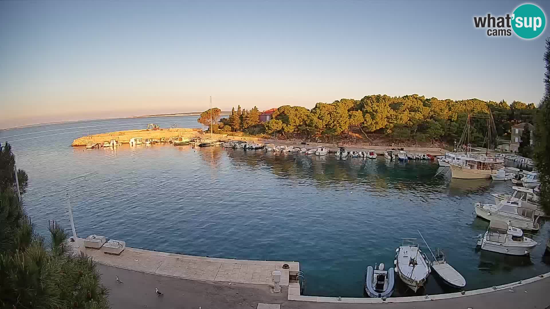 Mandre – marina