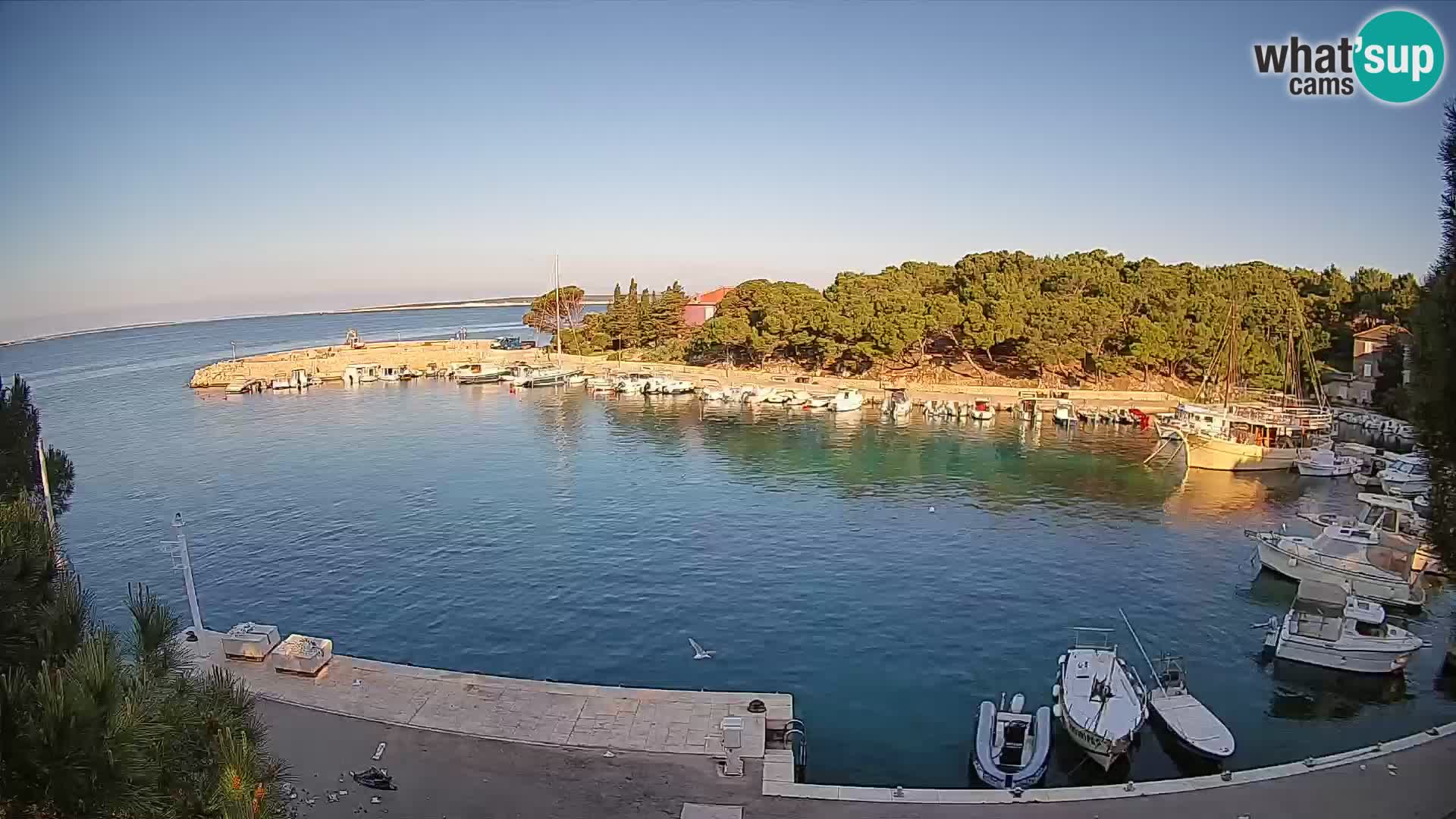 Mandre – marina