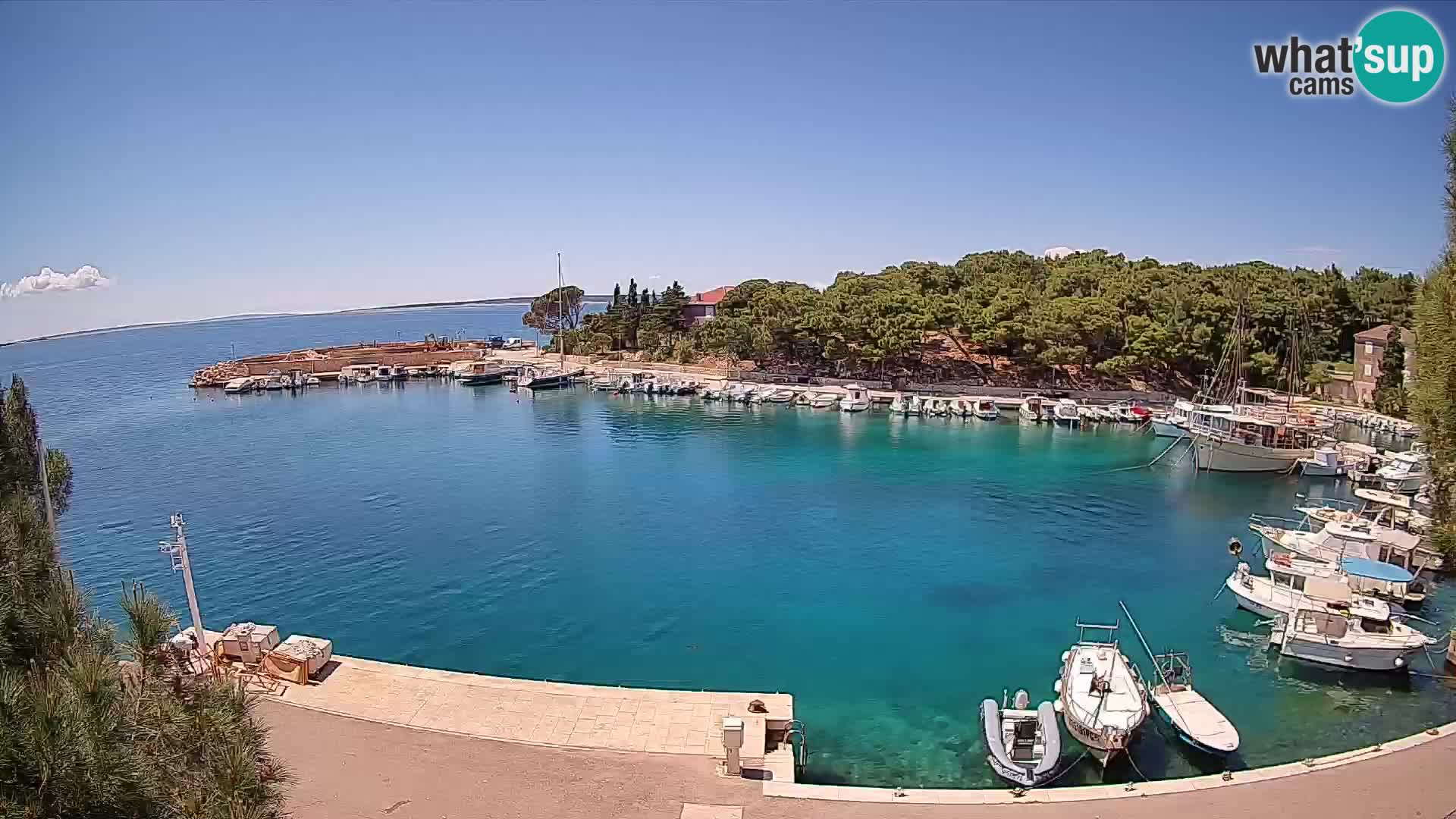 Mandre – marina
