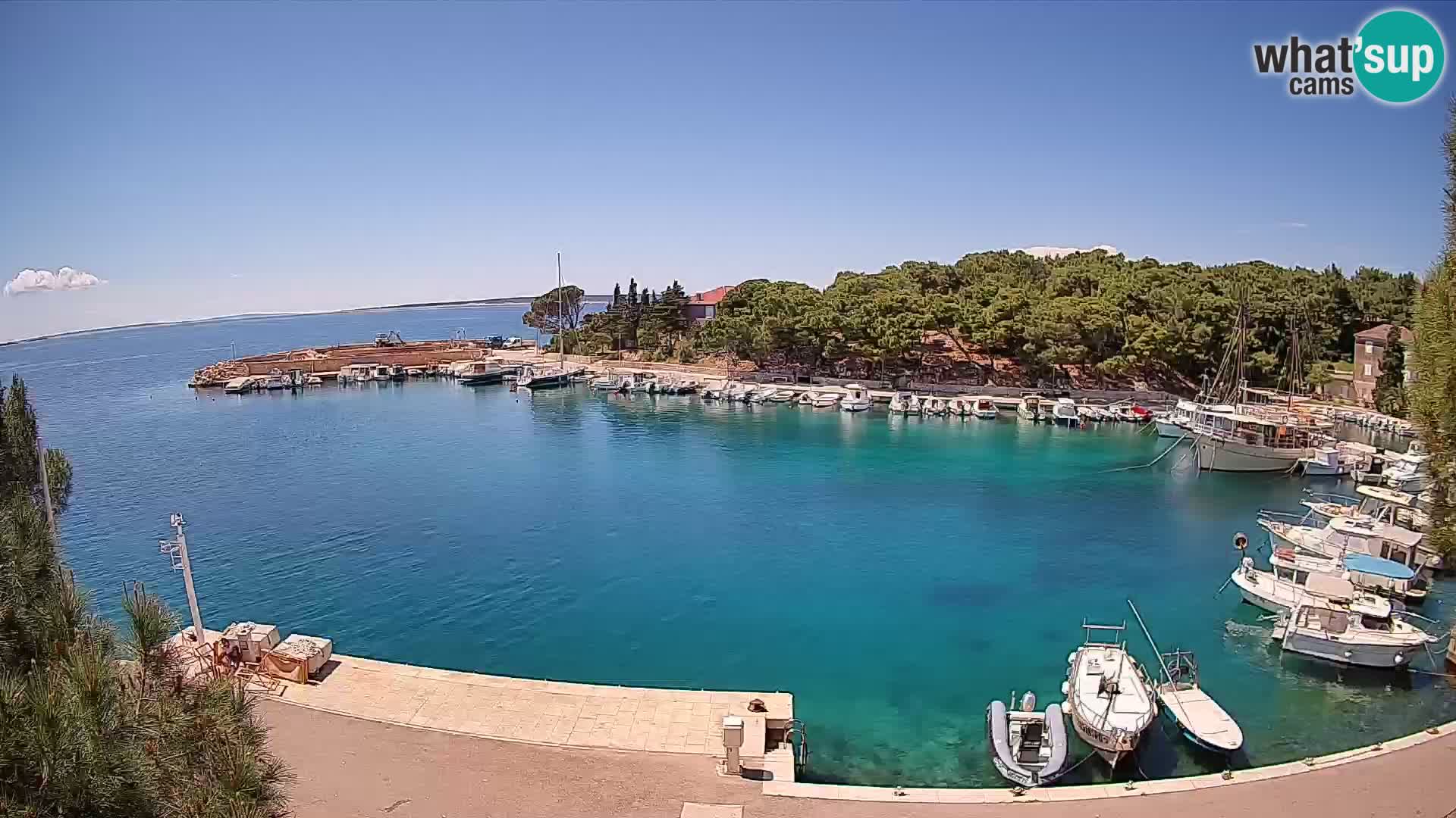 Mandre – marina
