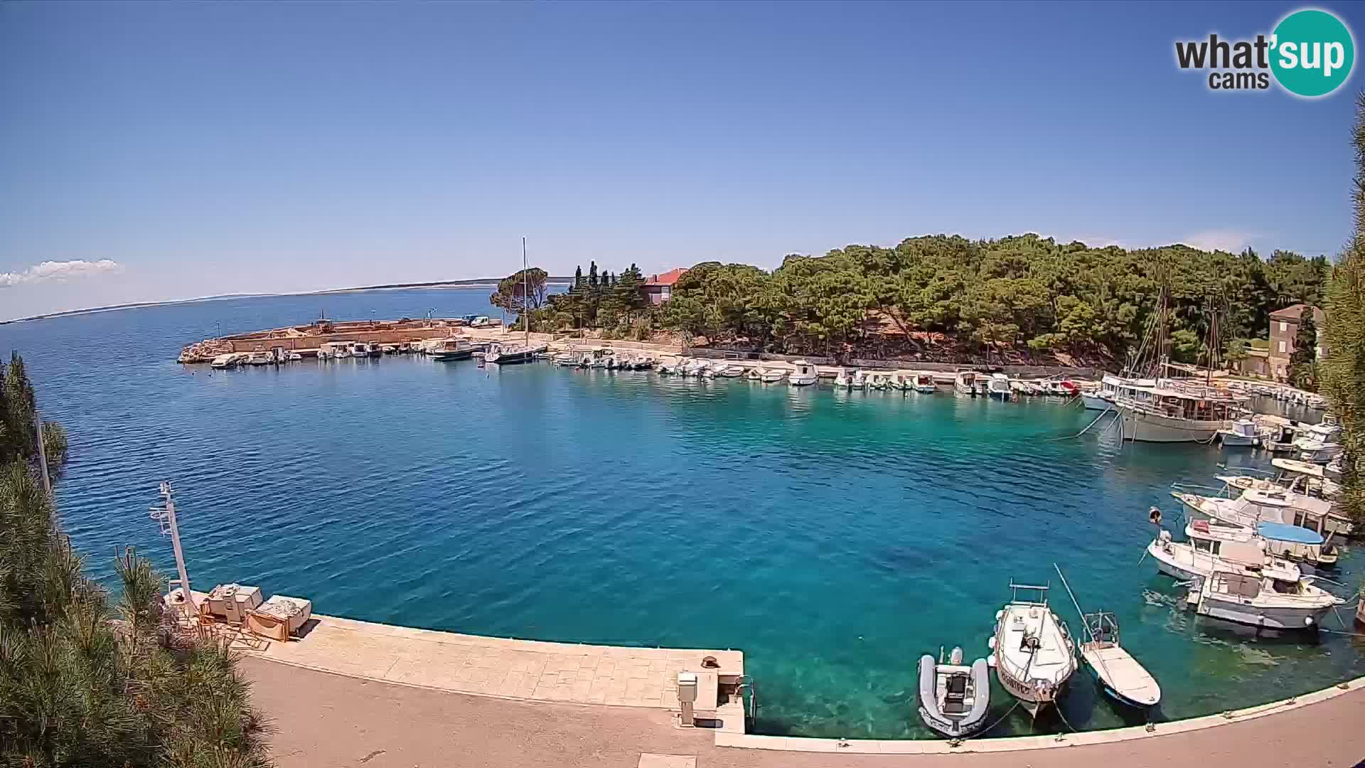 Mandre – marina