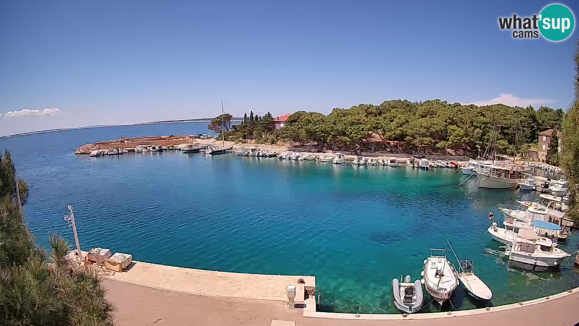 Mandre – marina