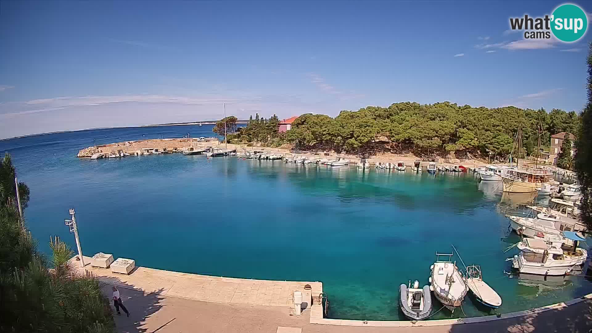 Mandre – marina