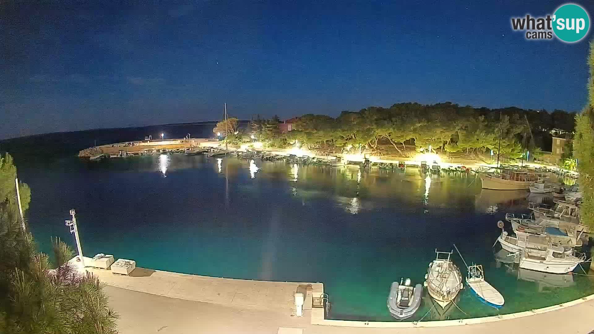 Mandre – marina