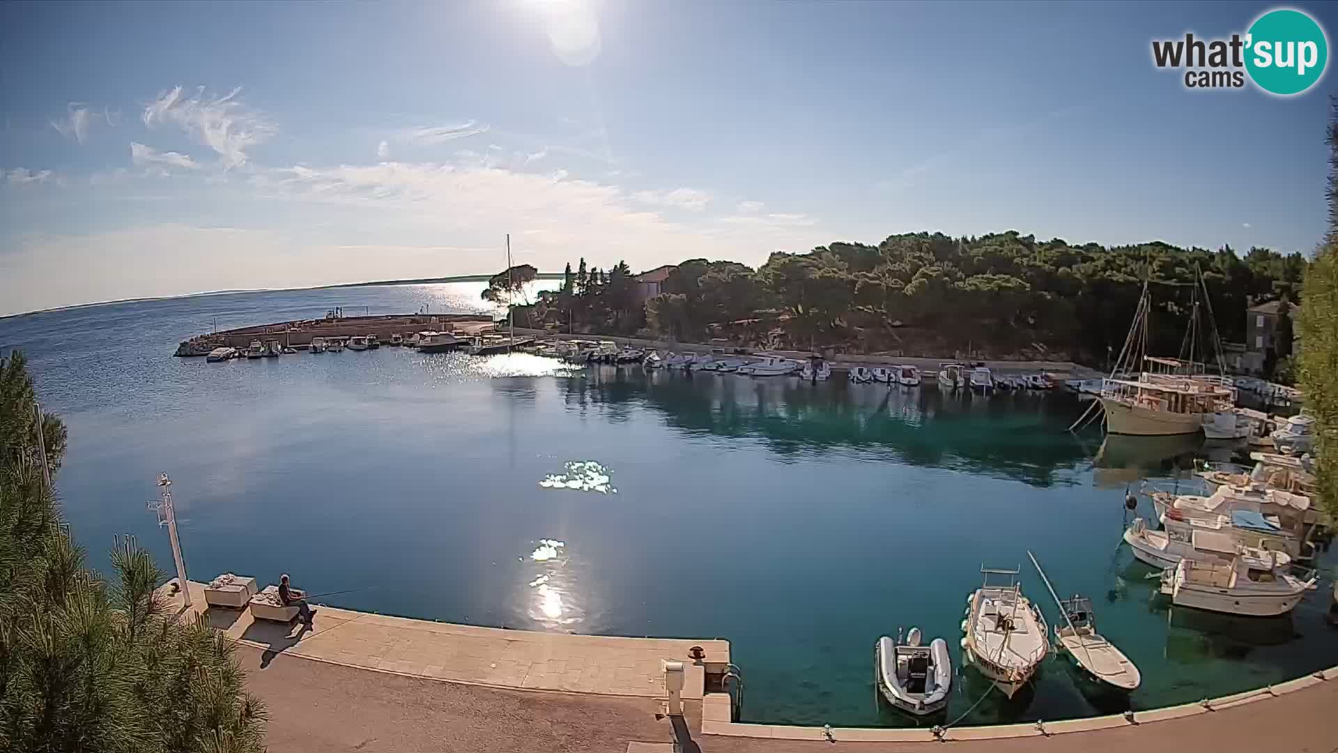 Mandre – marina