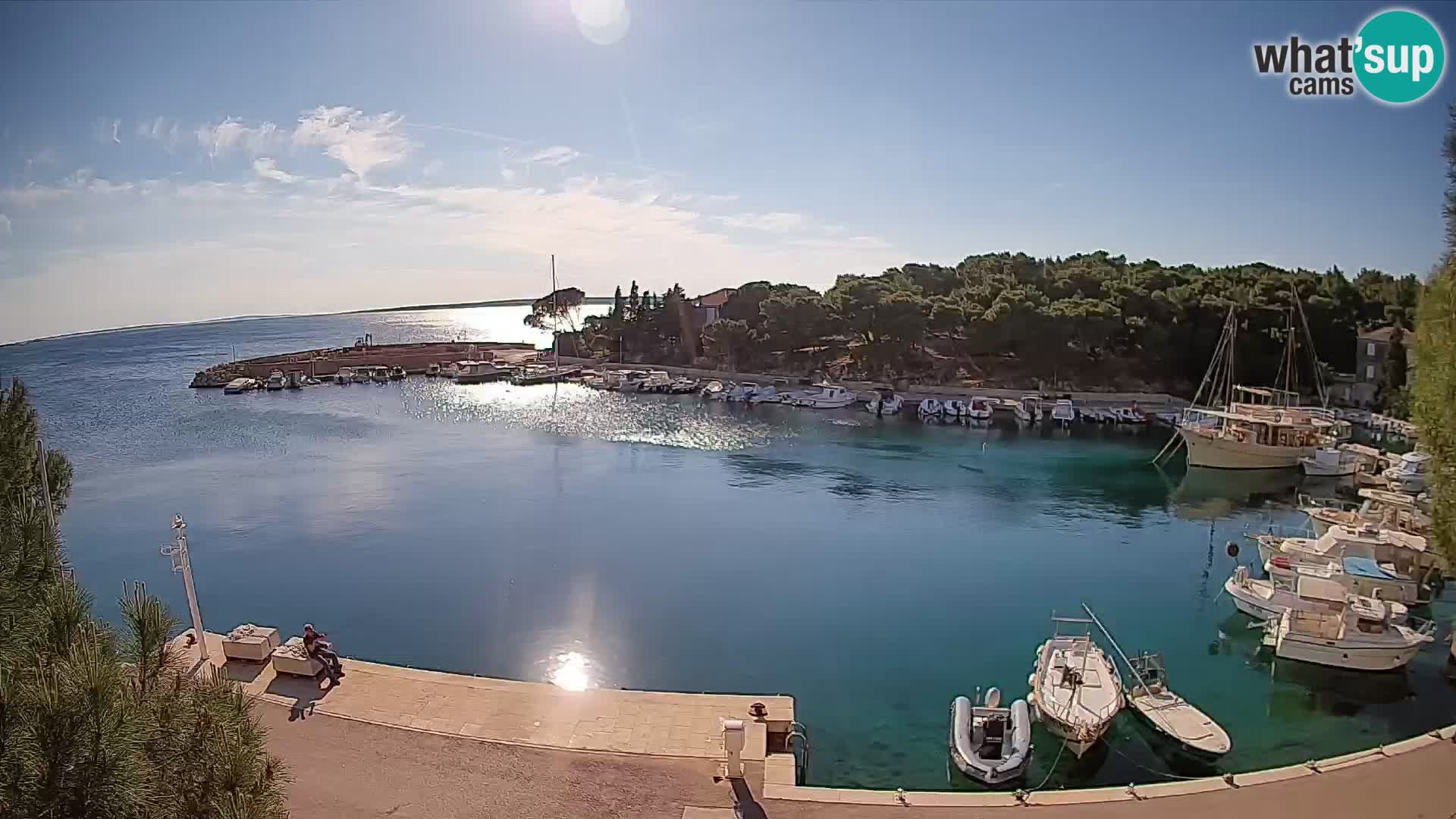 Mandre – marina