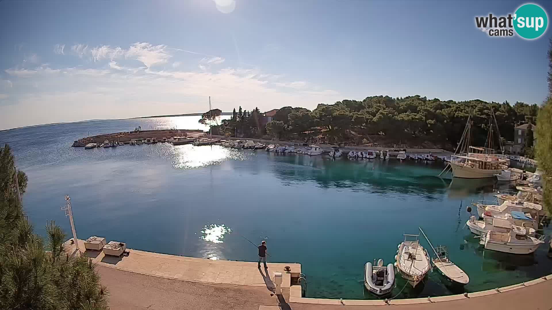 Mandre – marina