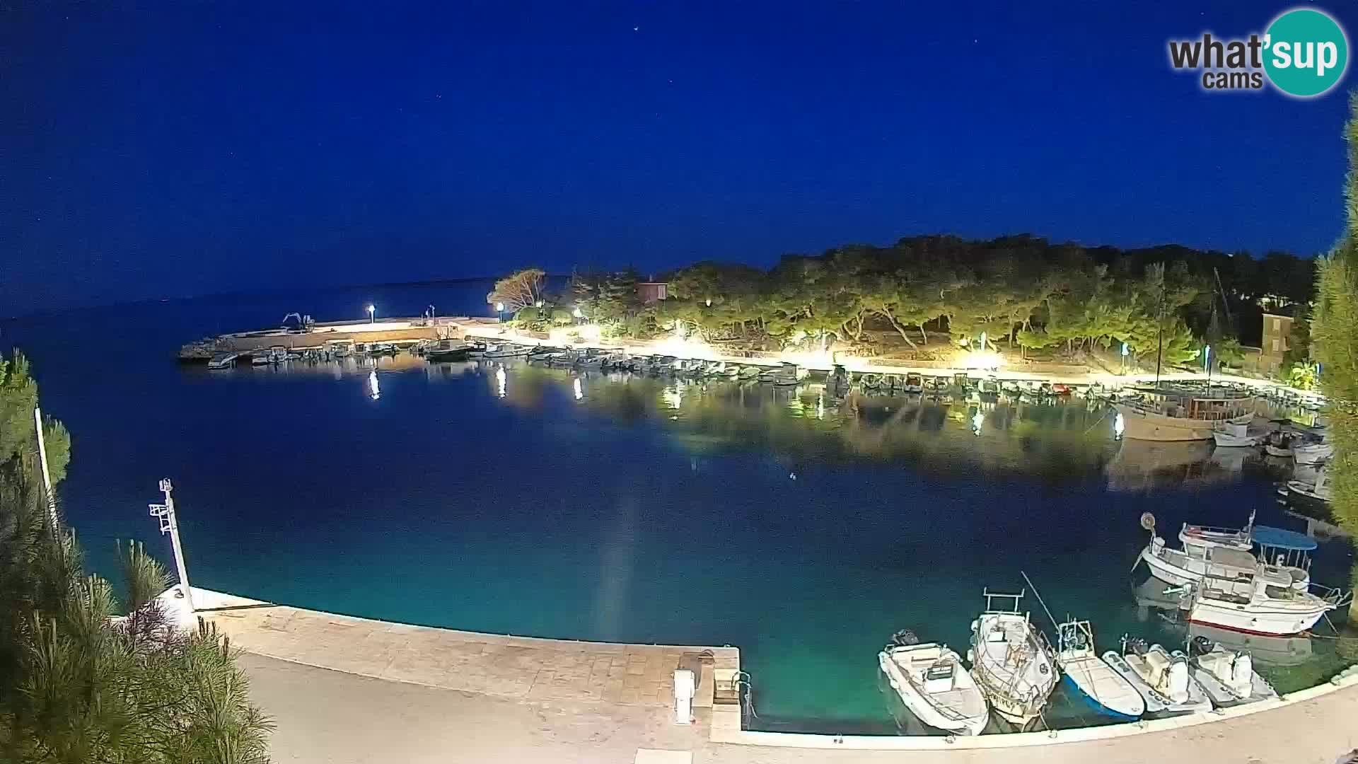 Mandre – marina