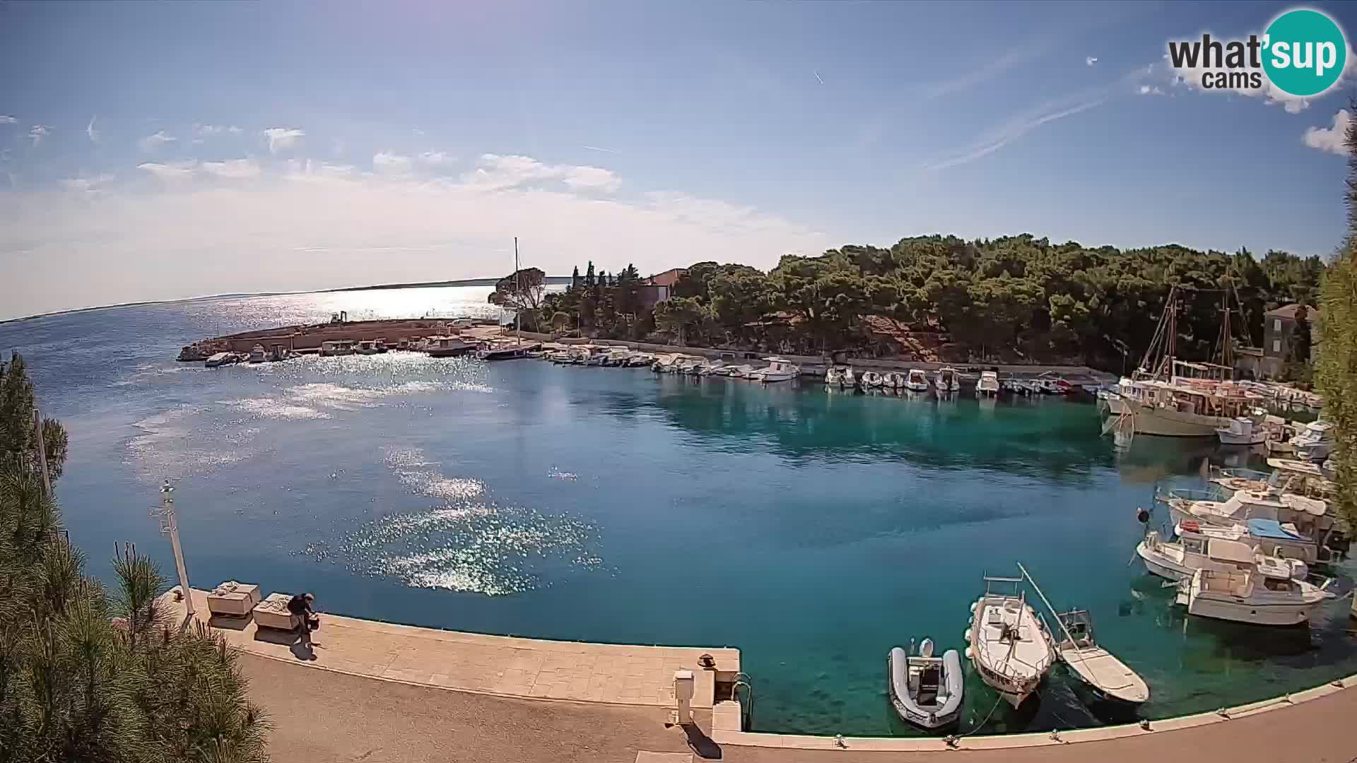 Mandre – marina