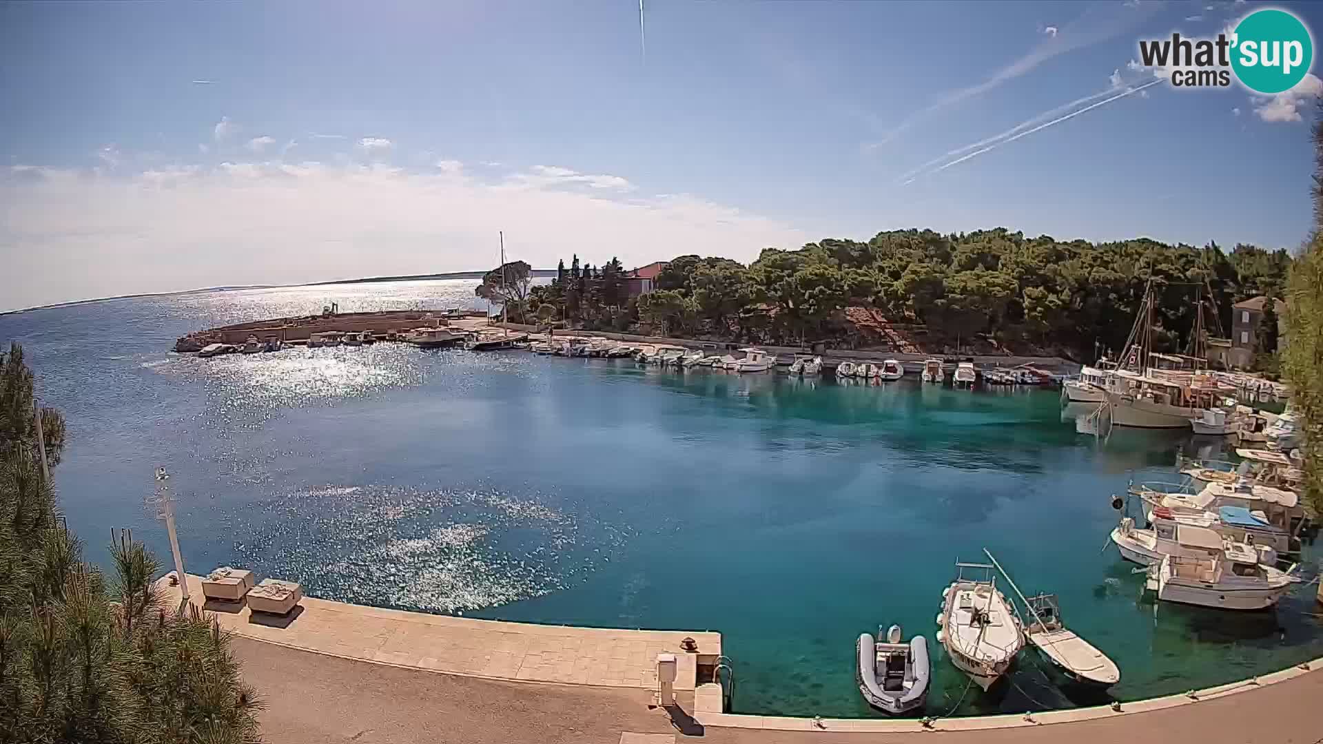 Mandre – marina
