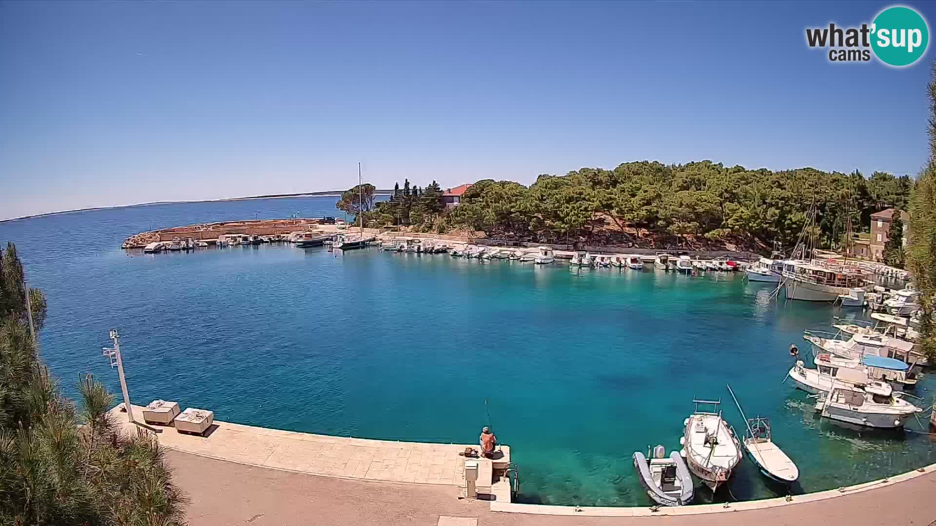 Mandre – marina