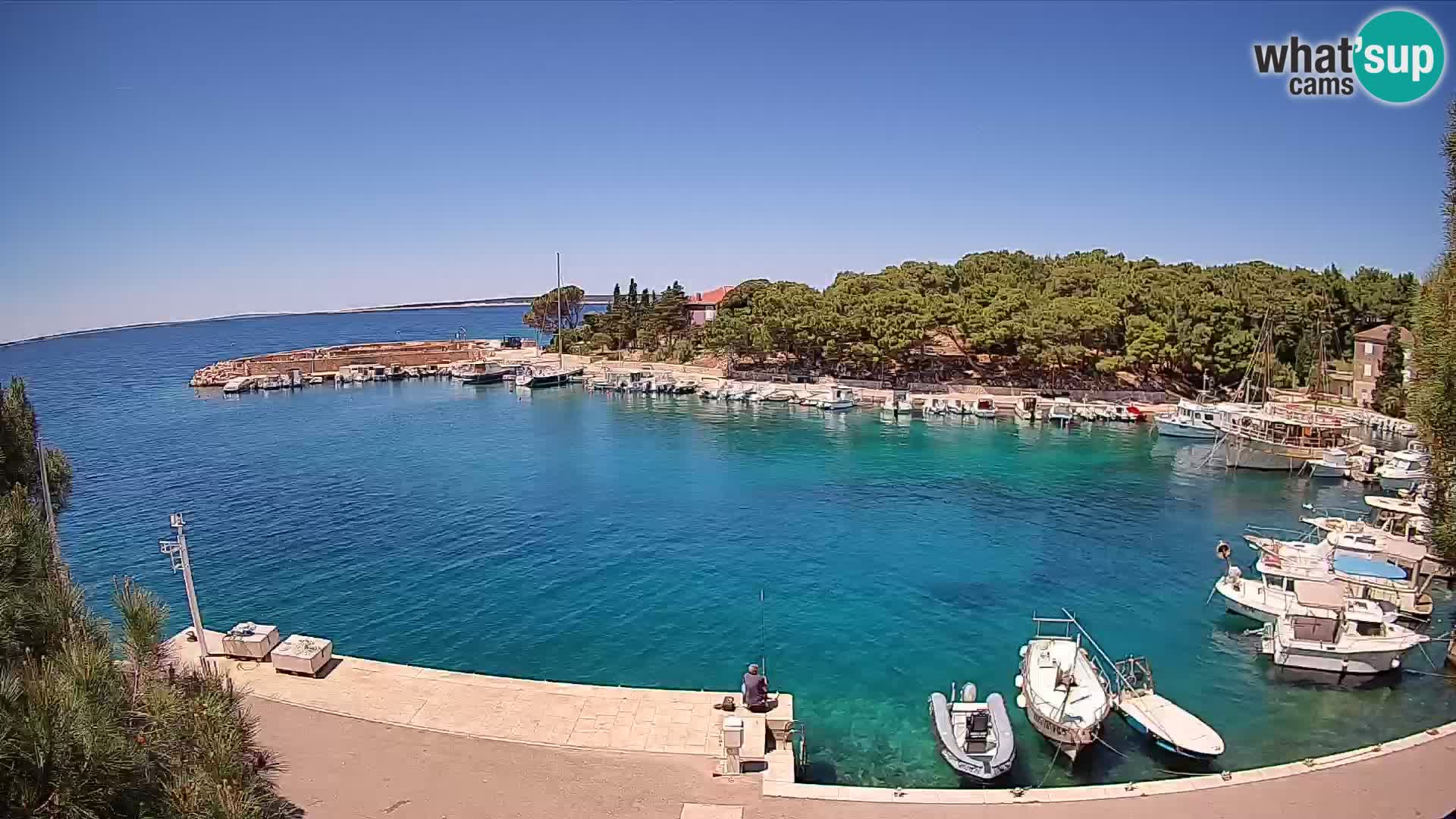 Mandre – marina