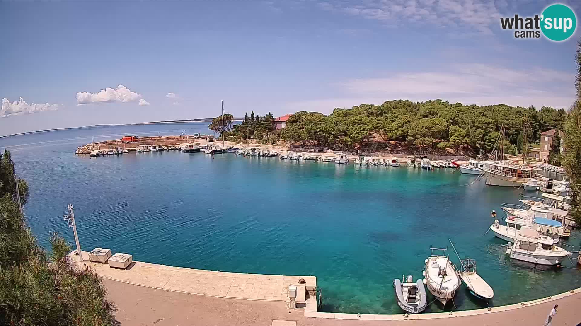 Mandre – marina