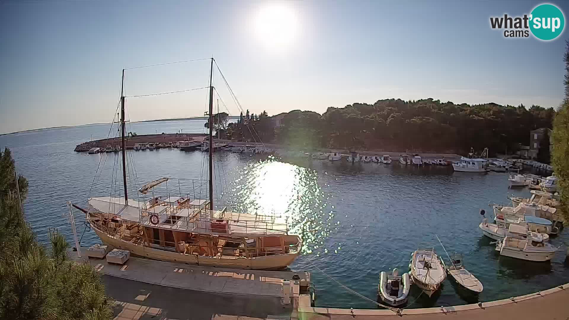 Mandre – marina