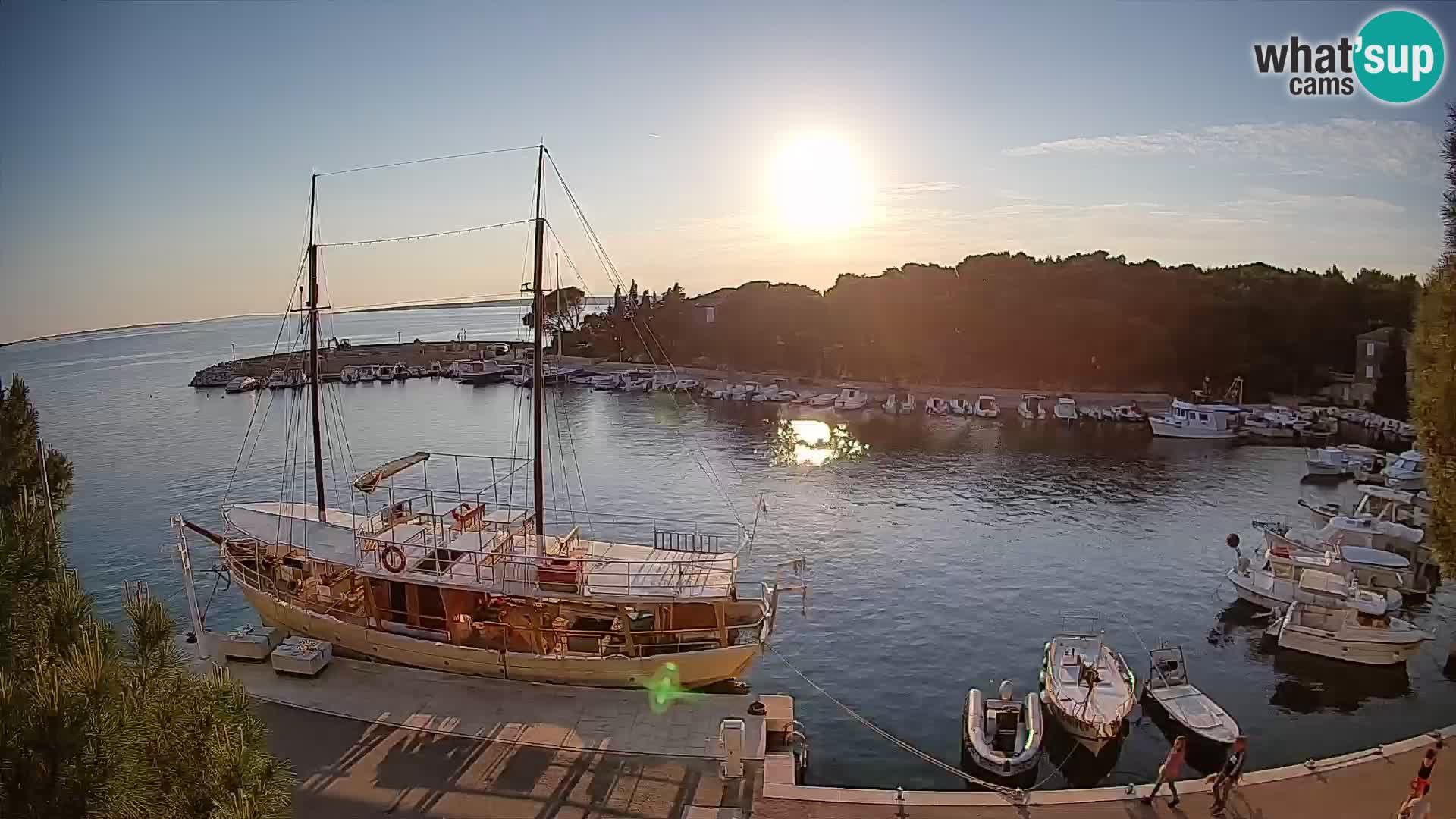 Mandre – marina