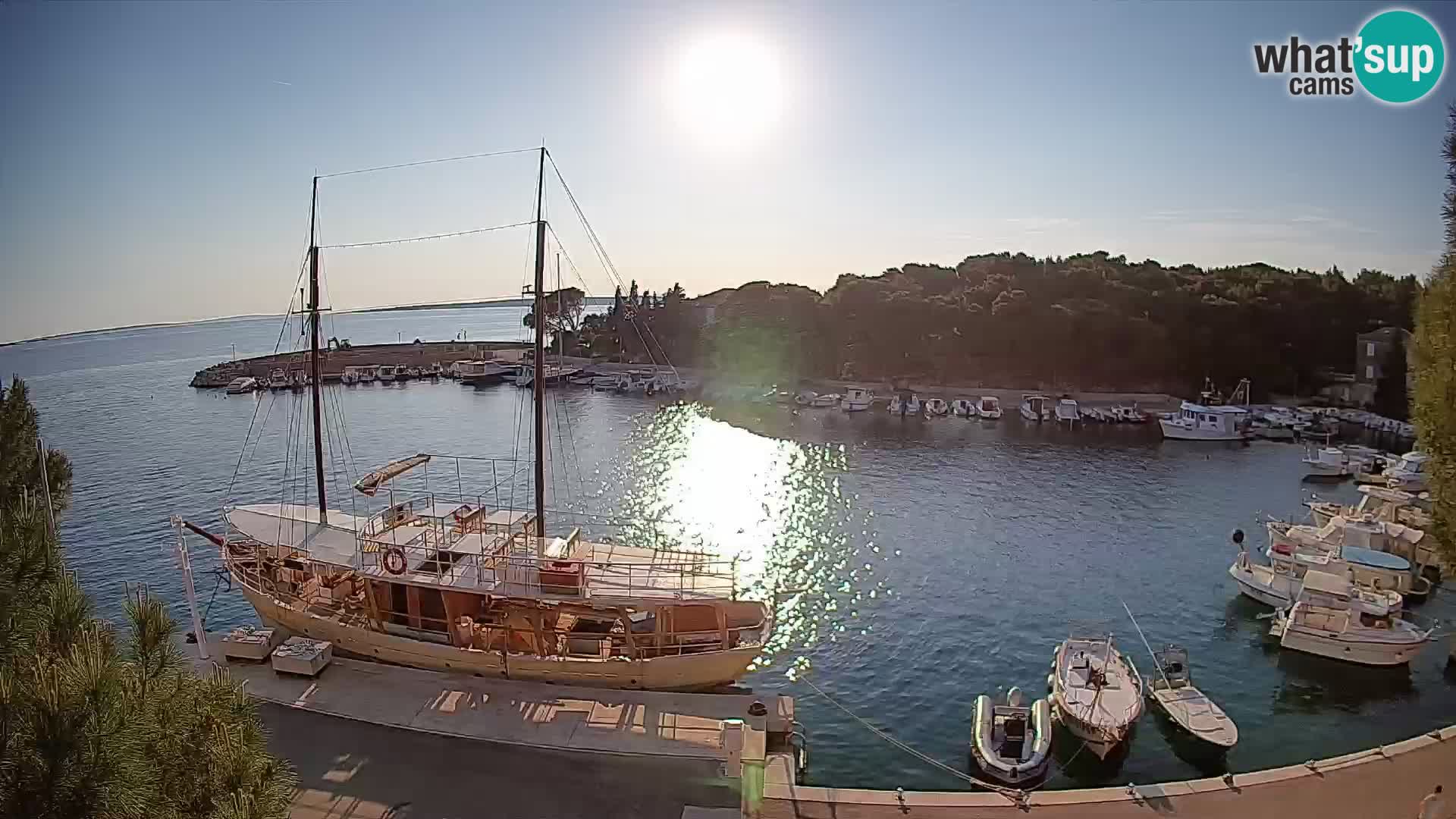 Mandre – marina