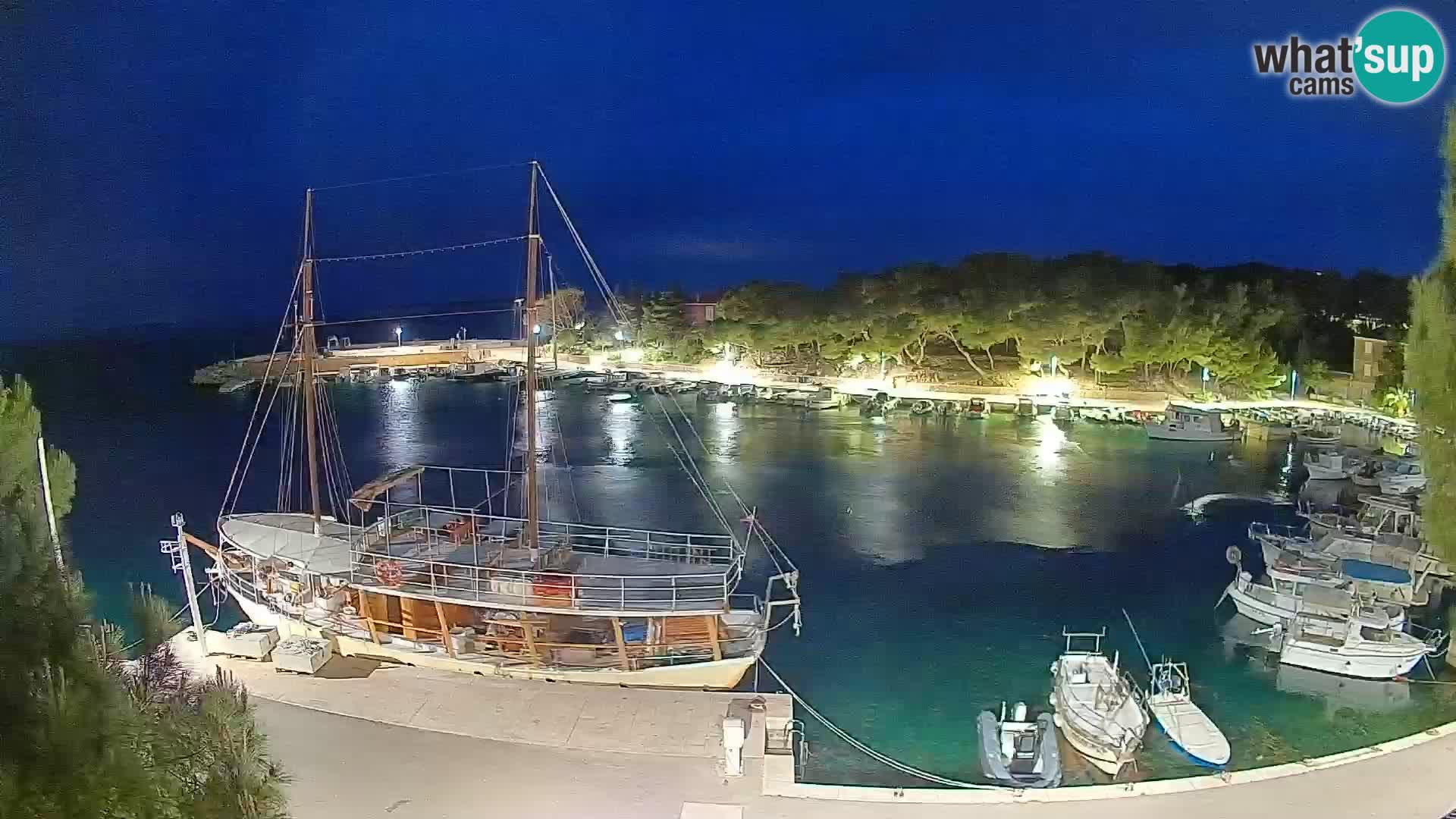 Mandre – marina