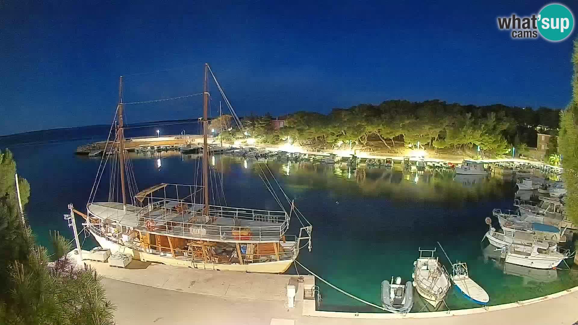 Mandre – marina