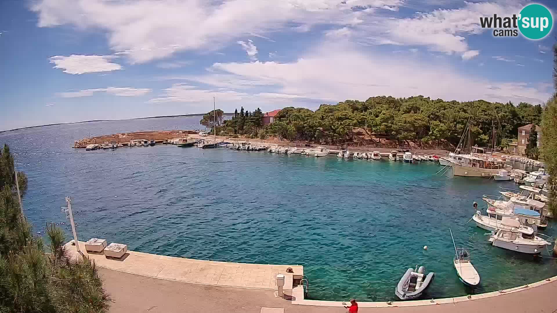 Mandre – marina