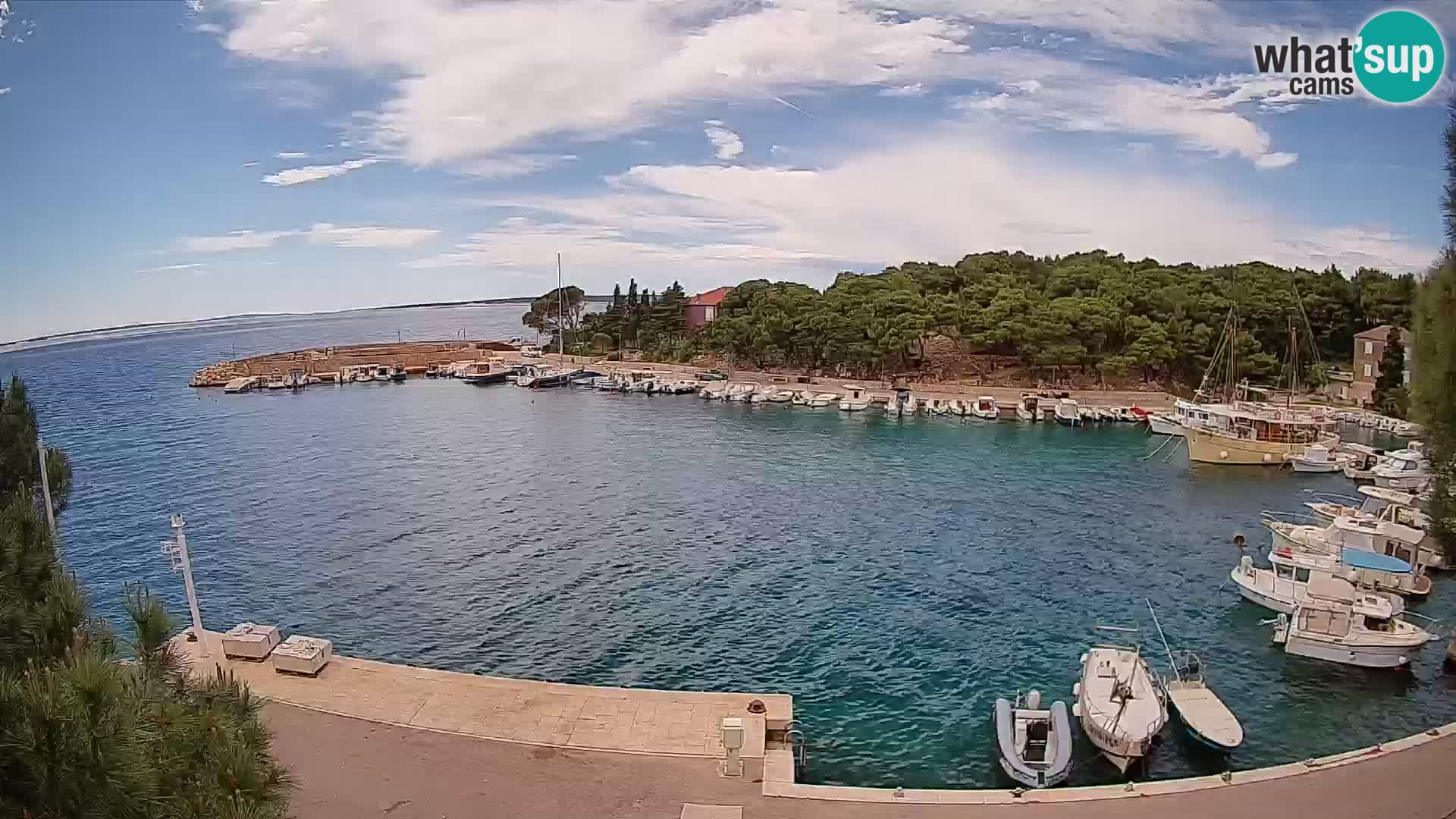 Mandre – marina