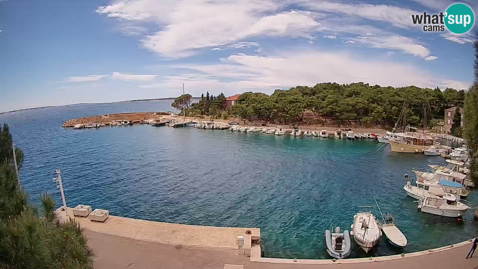 Mandre – marina