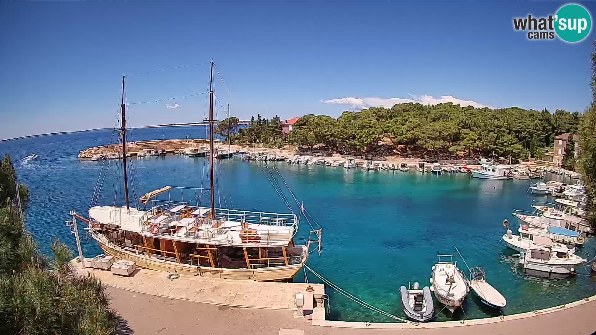 Mandre – marina
