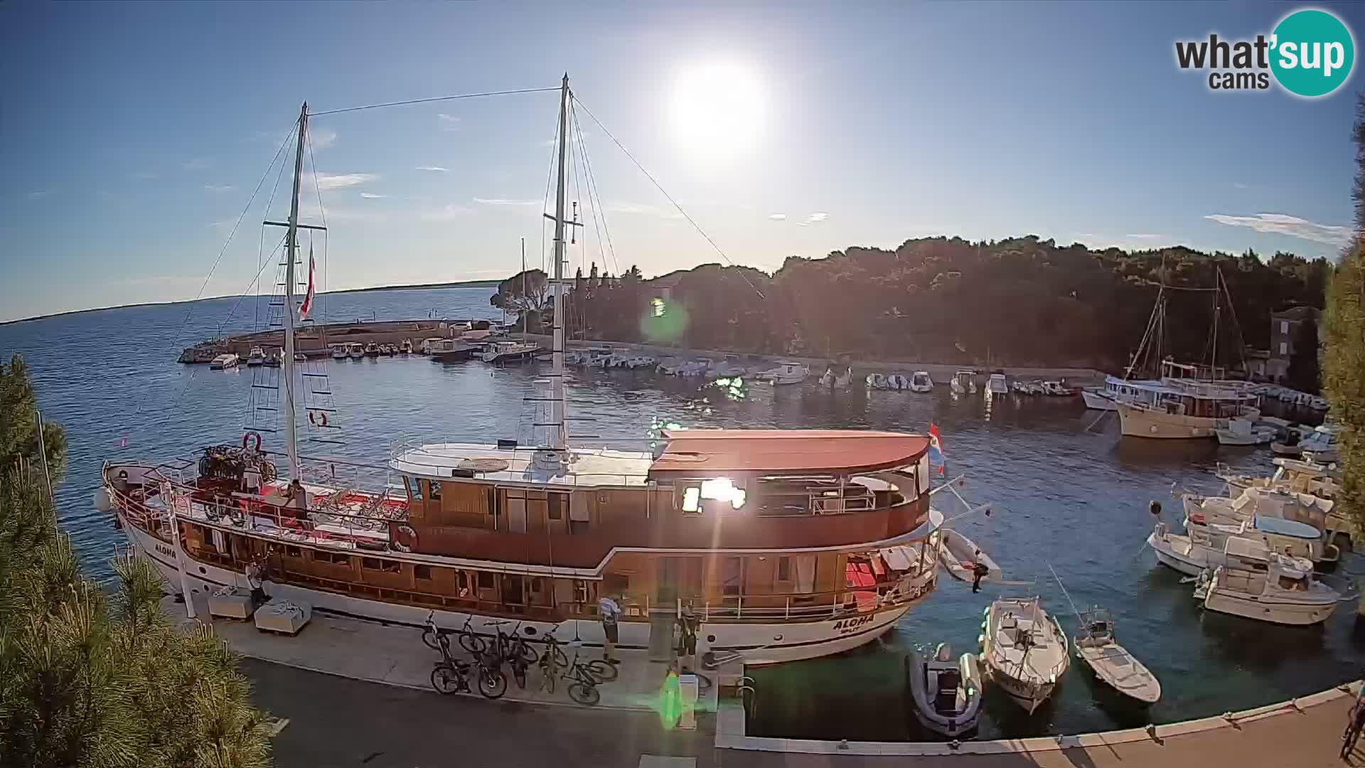 Mandre – marina