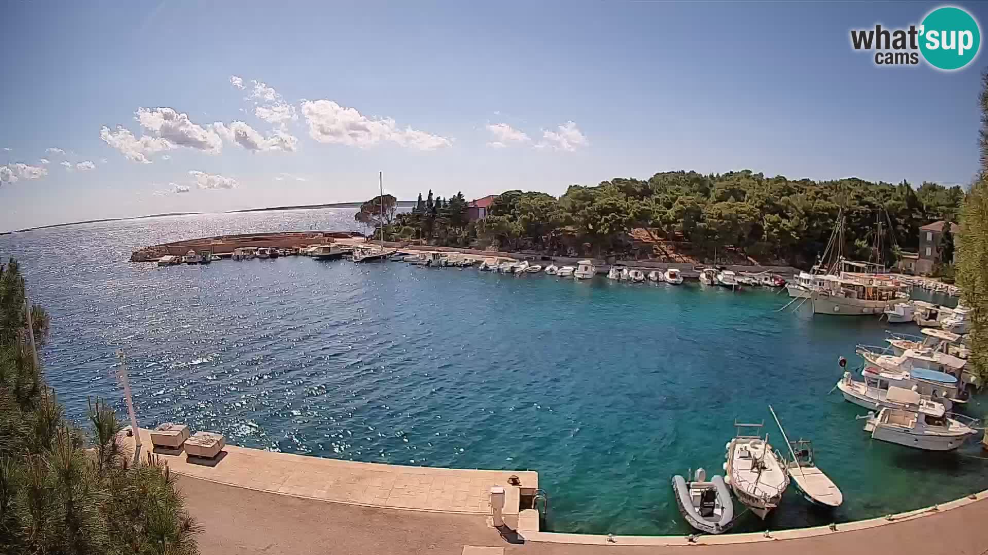 Mandre – marina