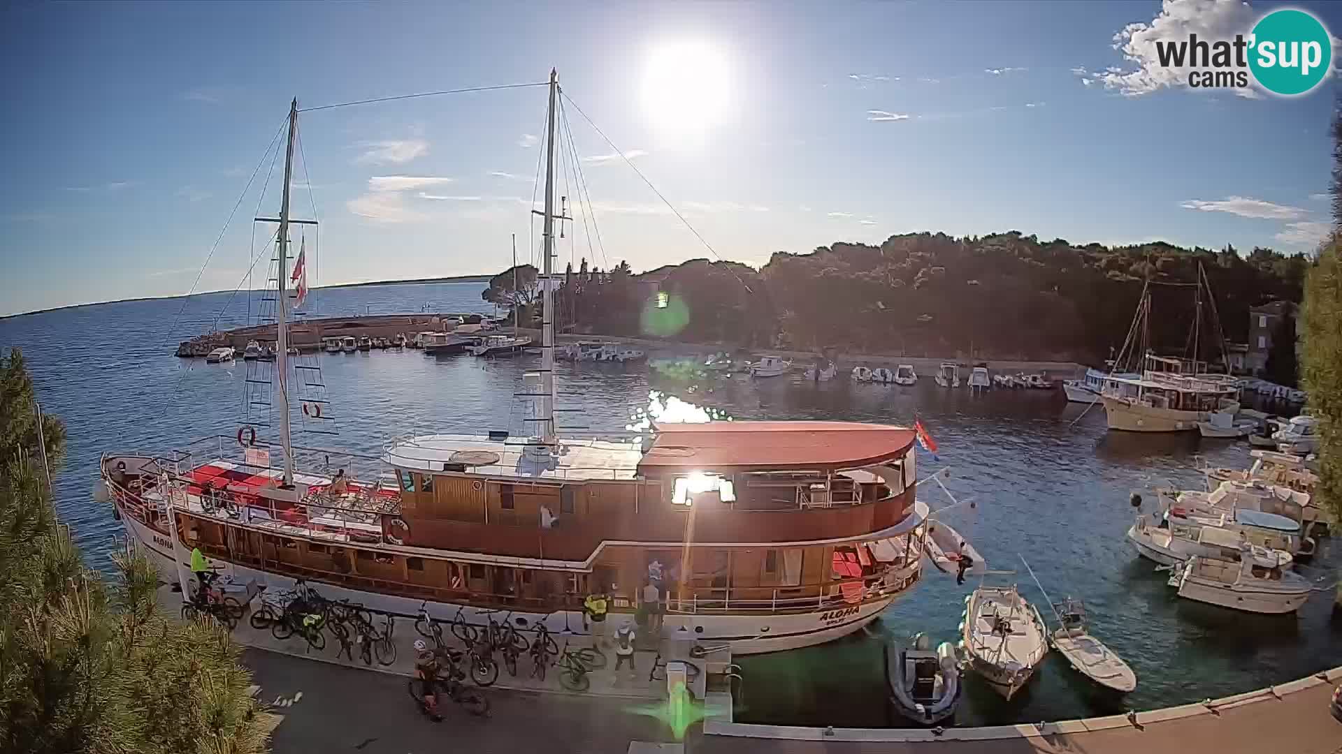 Mandre – marina