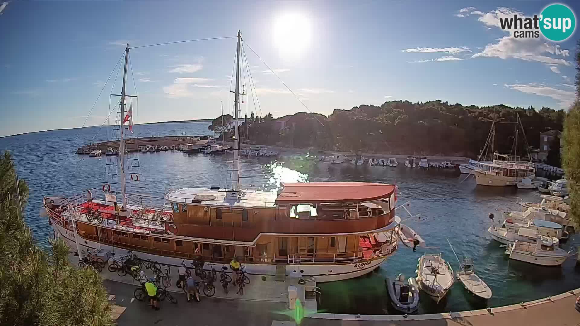 Mandre – marina