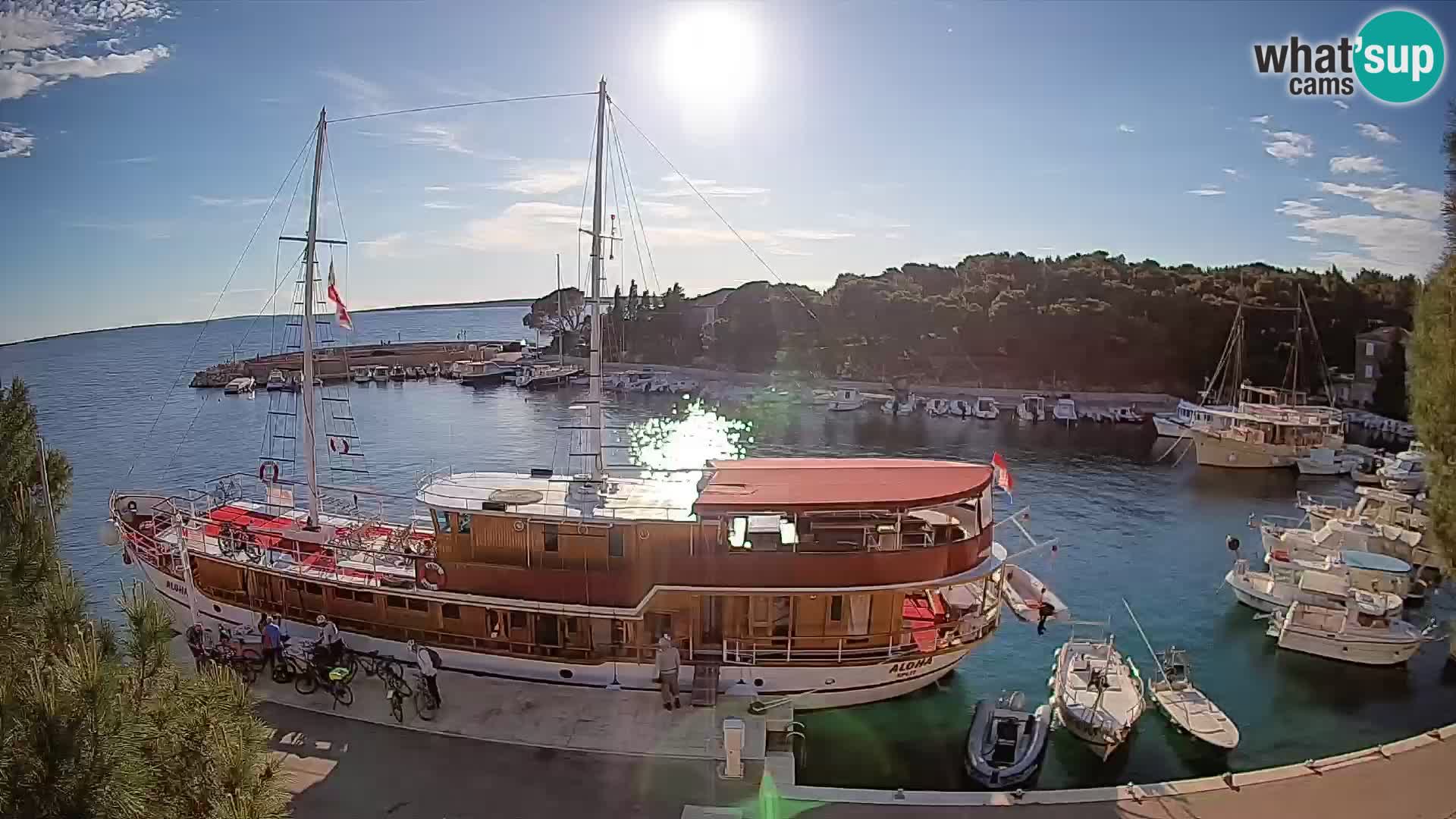 Mandre – marina